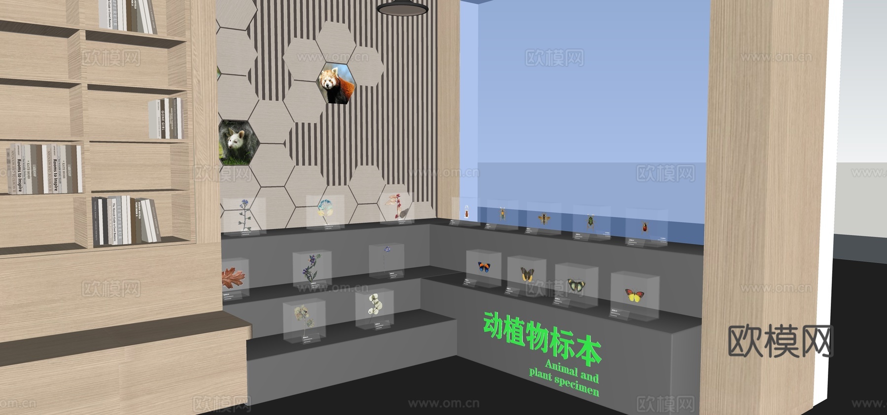 现代蝴蝶展馆展览su模型