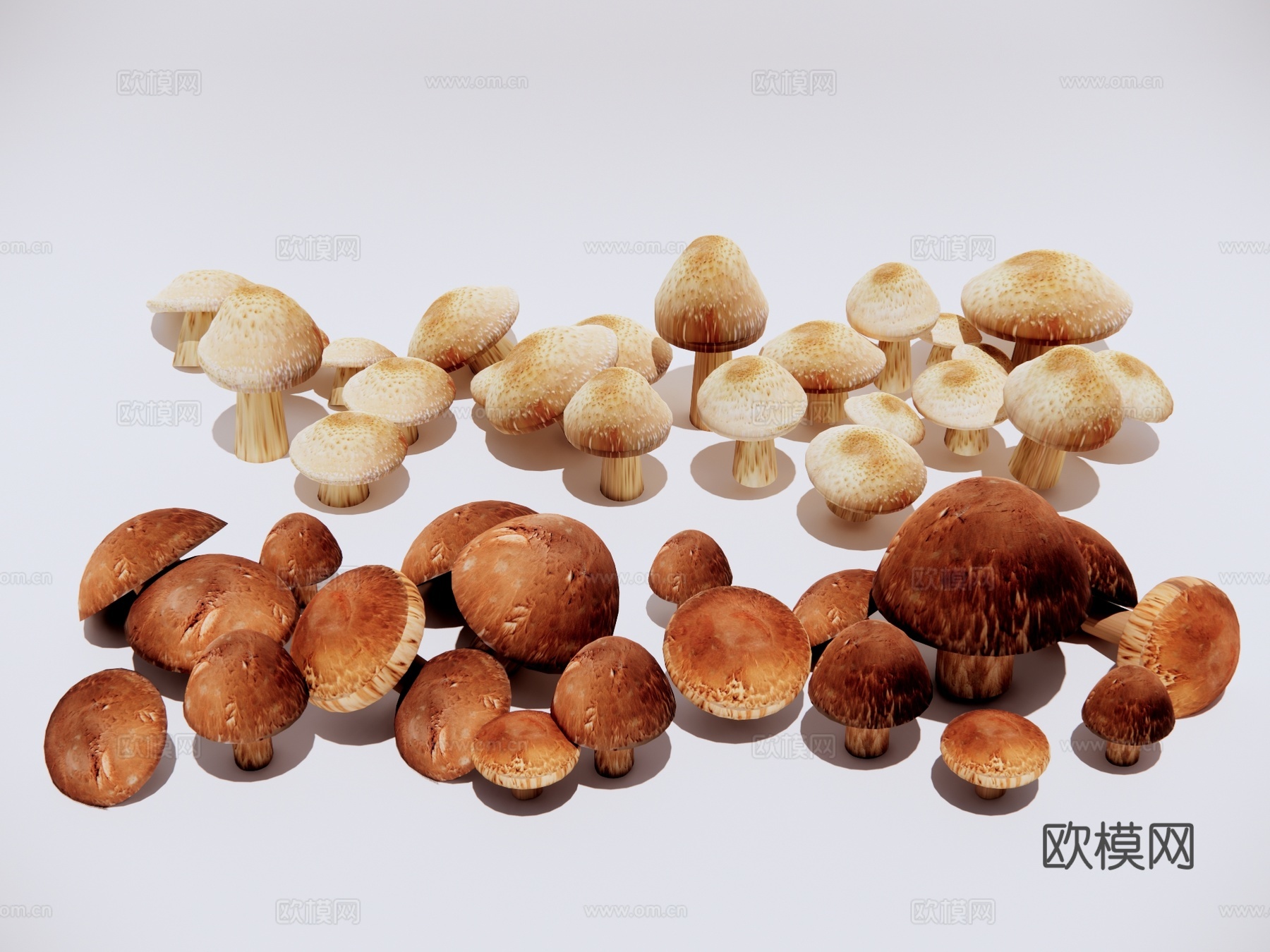 香菇菌菇 食物蔬菜su模型