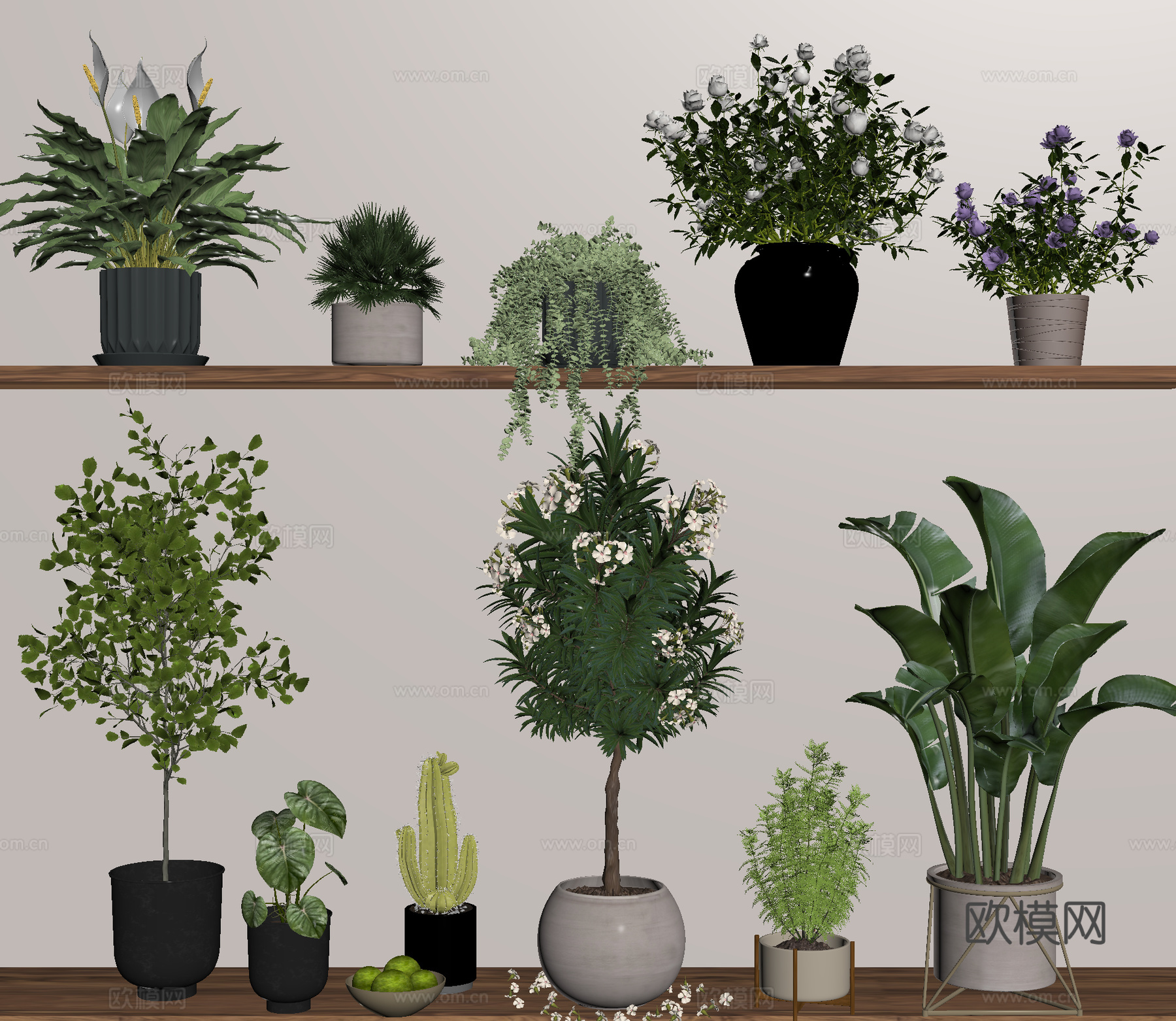 盆栽 盆景 绿植 花卉su模型