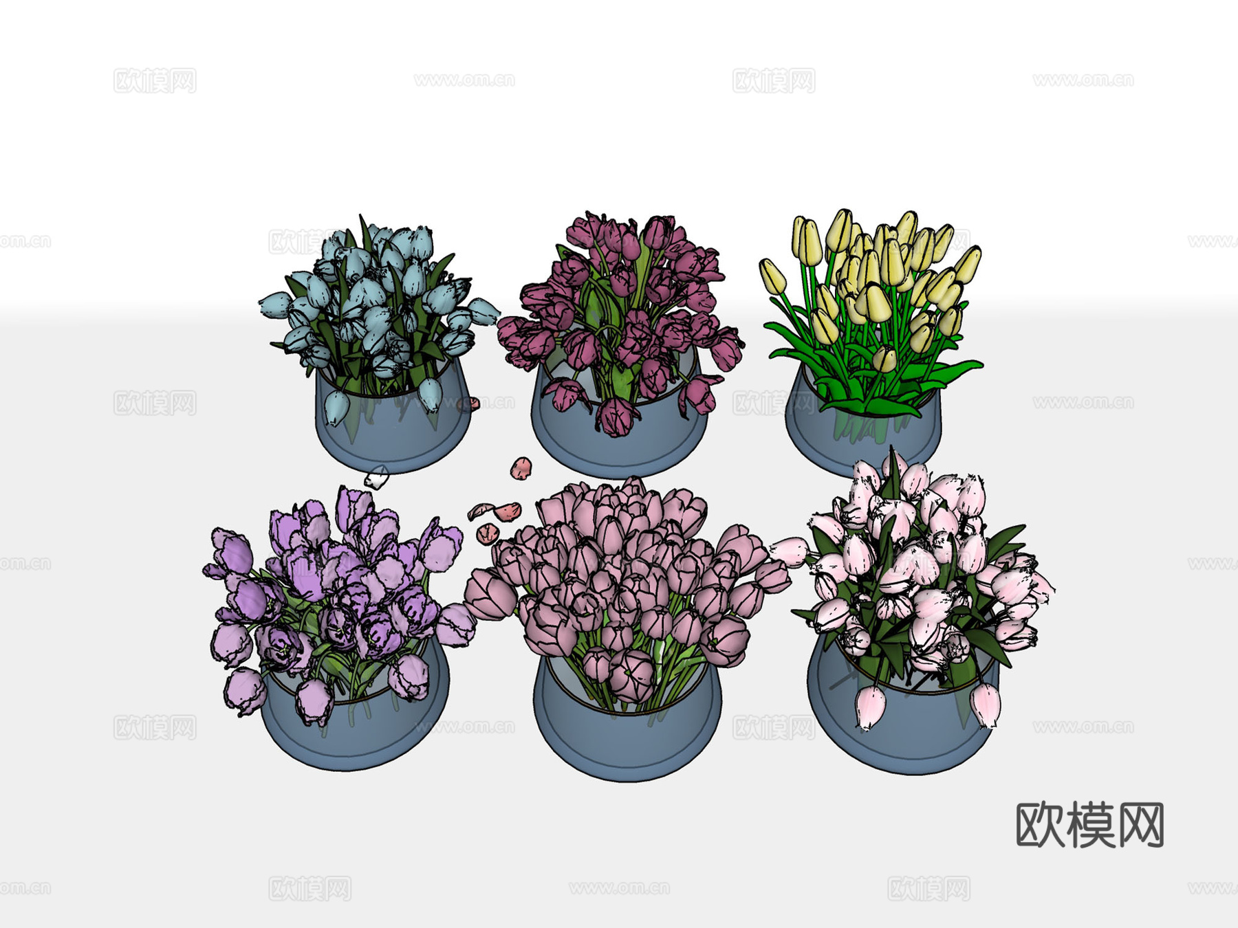 郁金香鲜花 水培花瓶su模型
