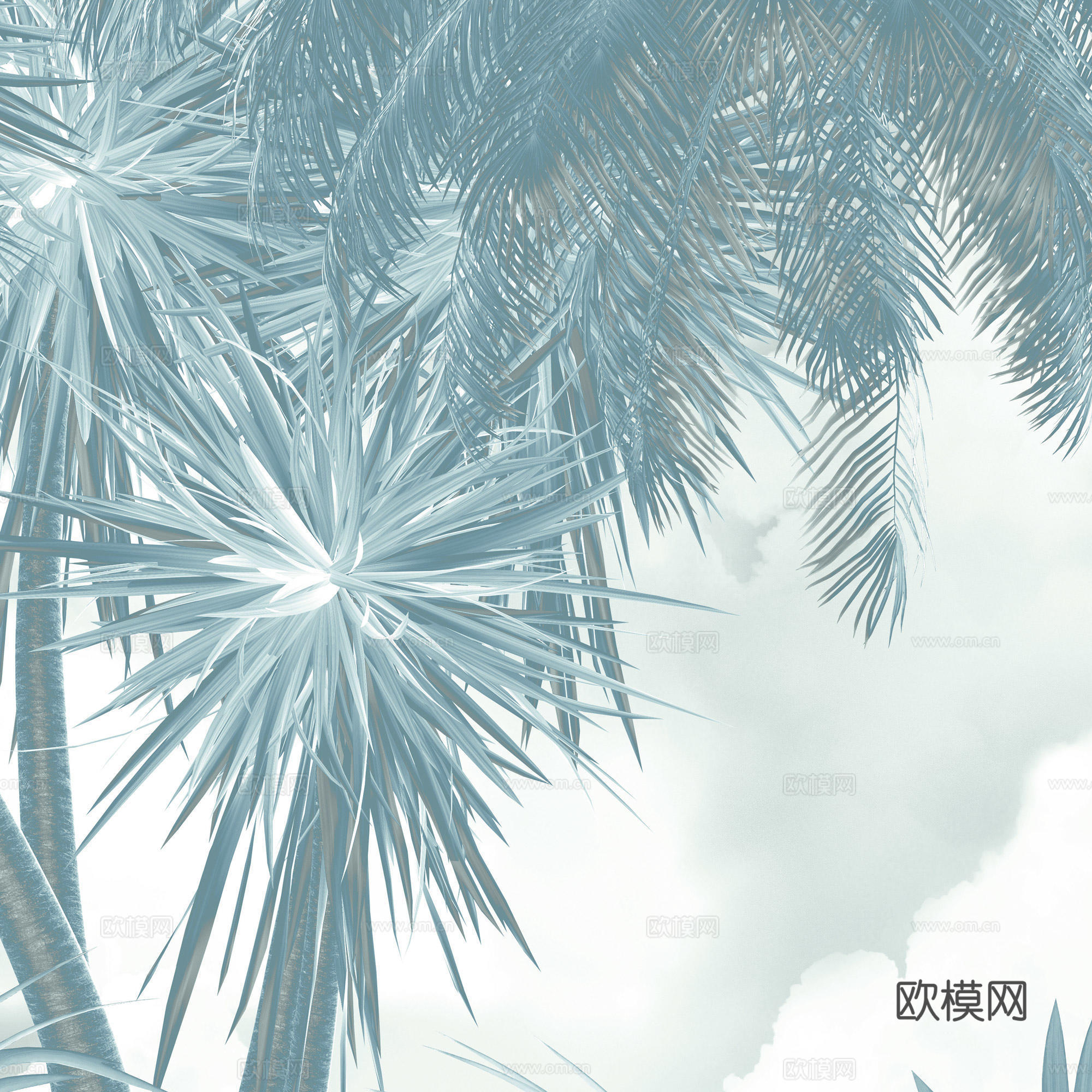 蓝色植物壁纸