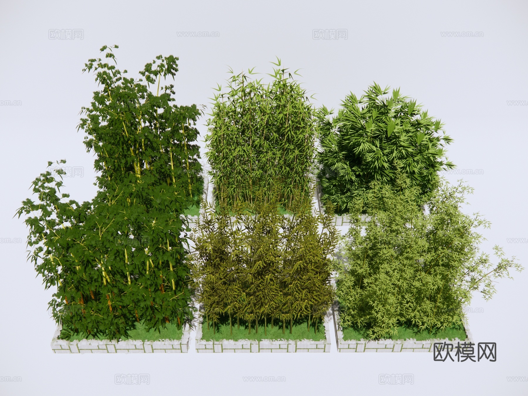 树池竹子 植物绿植su模型
