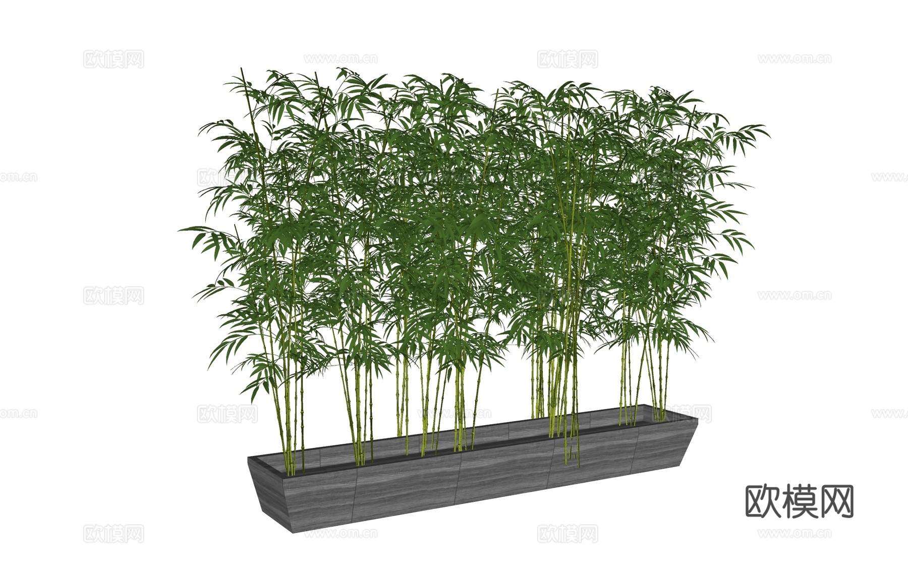 竹子竹林户外植物 盆栽绿植树su模型