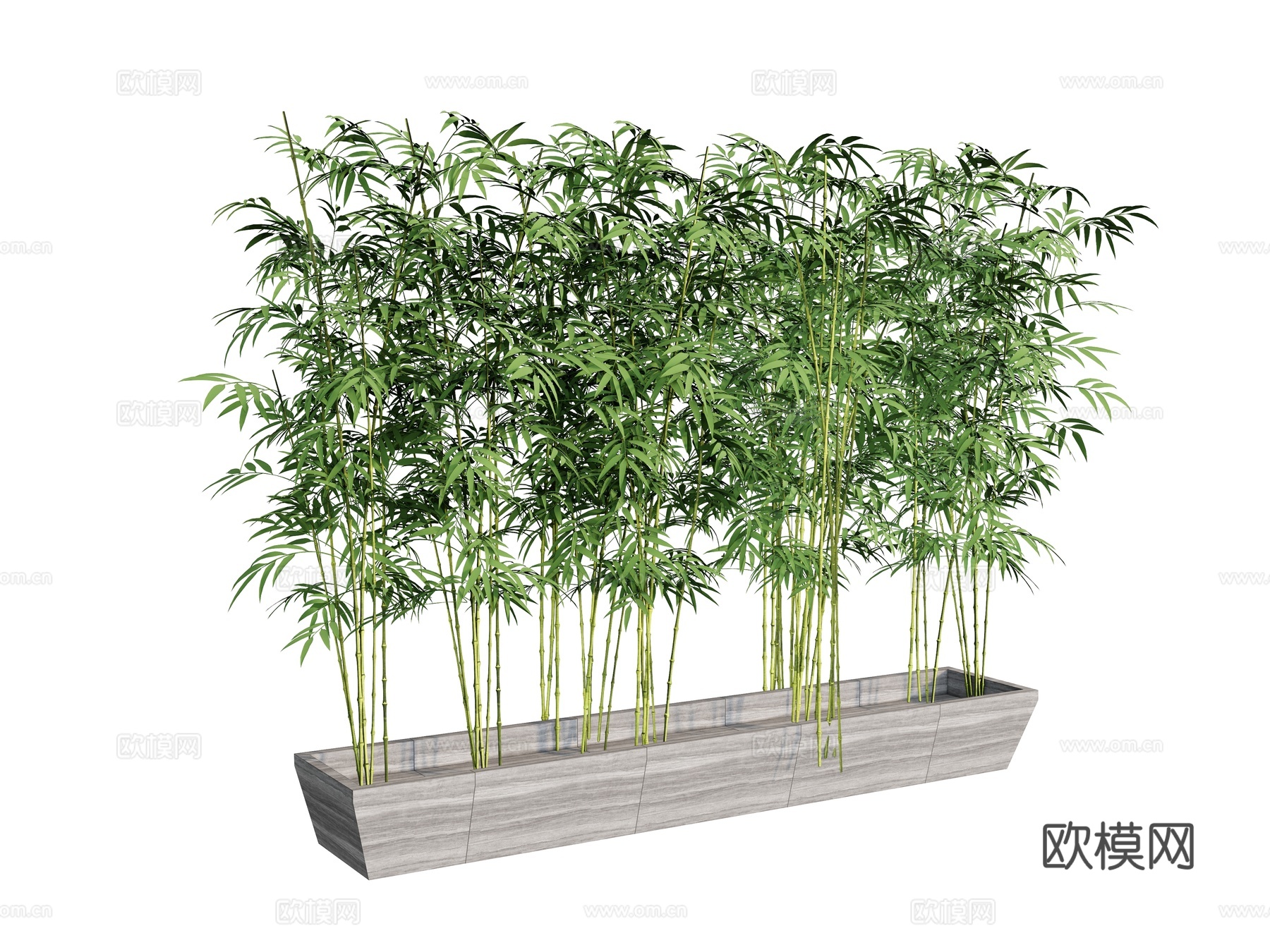竹子竹林户外植物 盆栽绿植树su模型