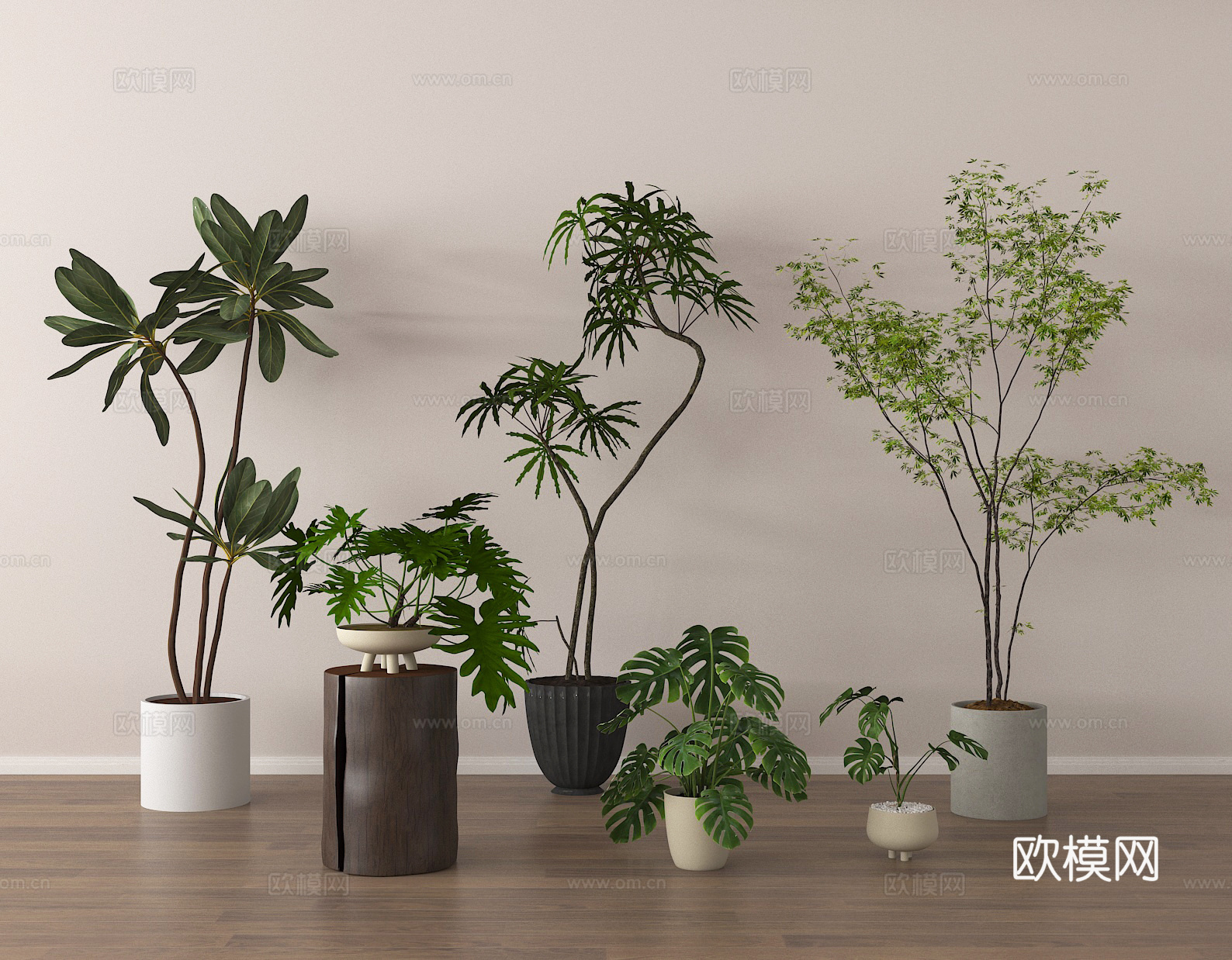 盆栽 盆景 绿植3d模型