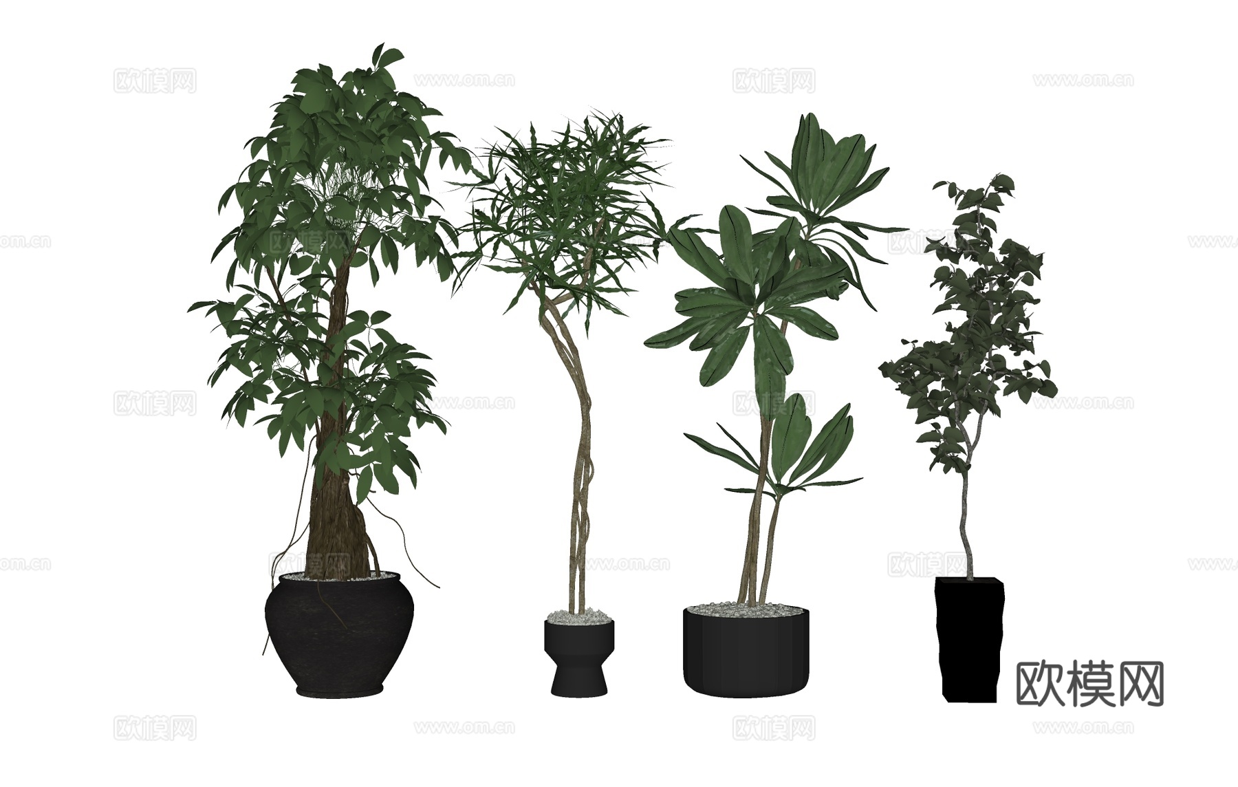 盆栽植物绿植花盆  树木热带植物su模型