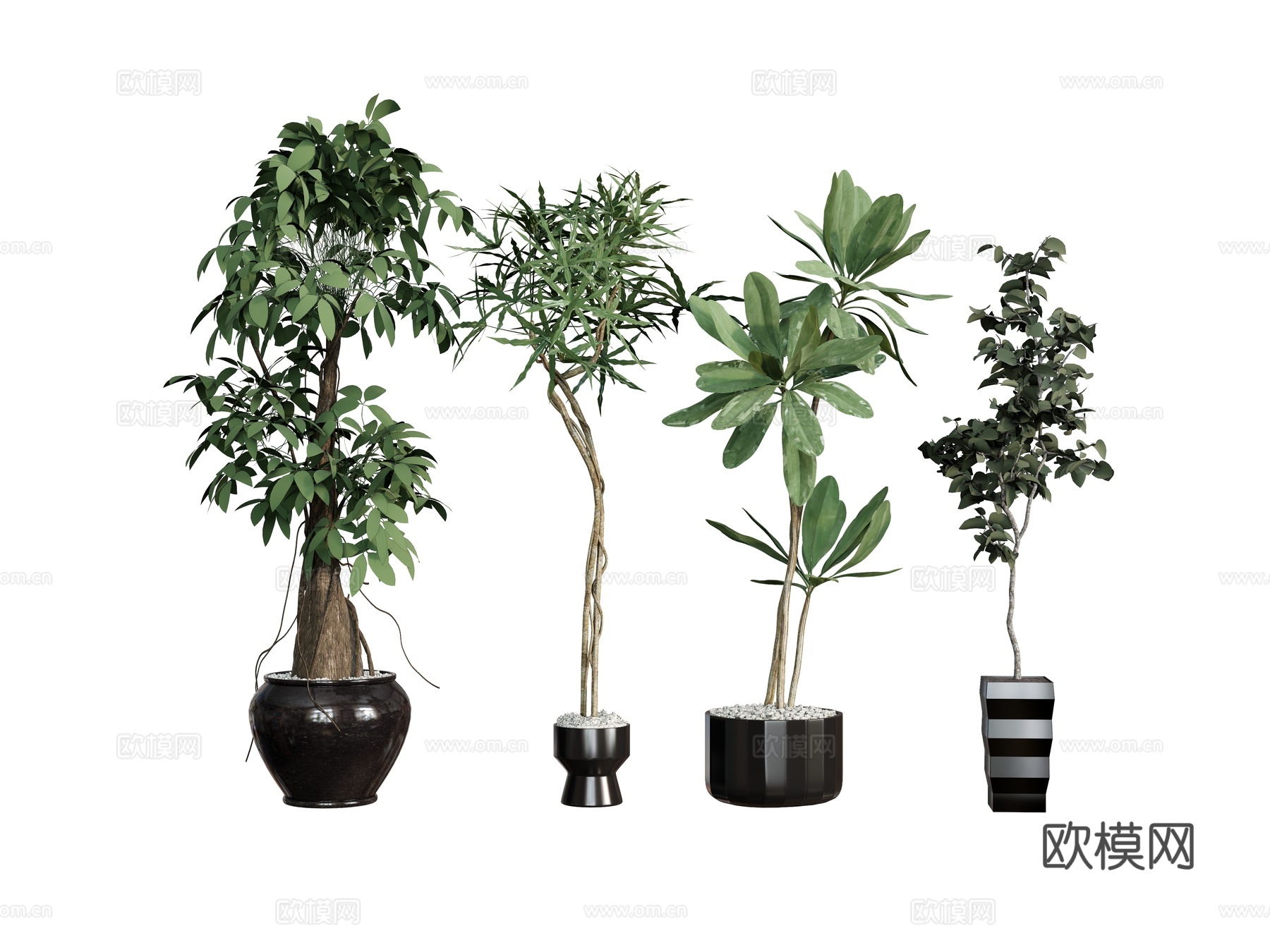 盆栽植物绿植花盆  树木热带植物su模型