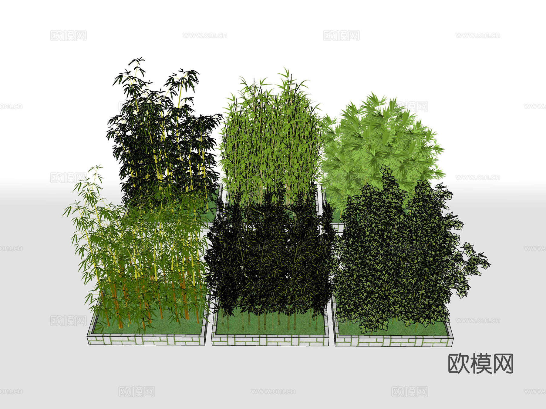 树池竹子 植物绿植su模型