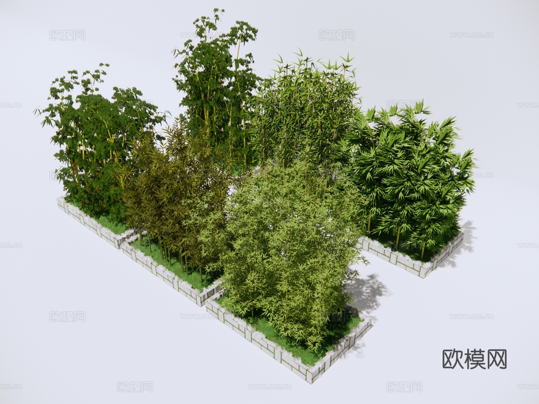 树池竹子 植物绿植su模型