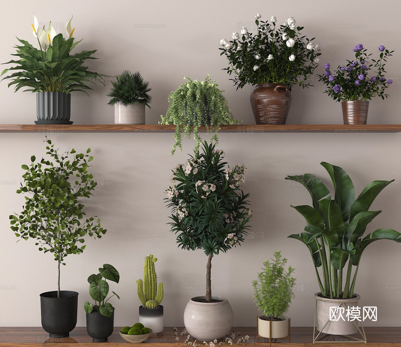 盆栽 盆景 绿植 花卉su模型