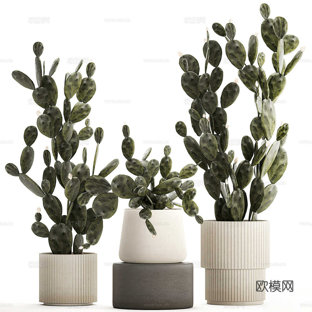 花瓶花卉3d模型