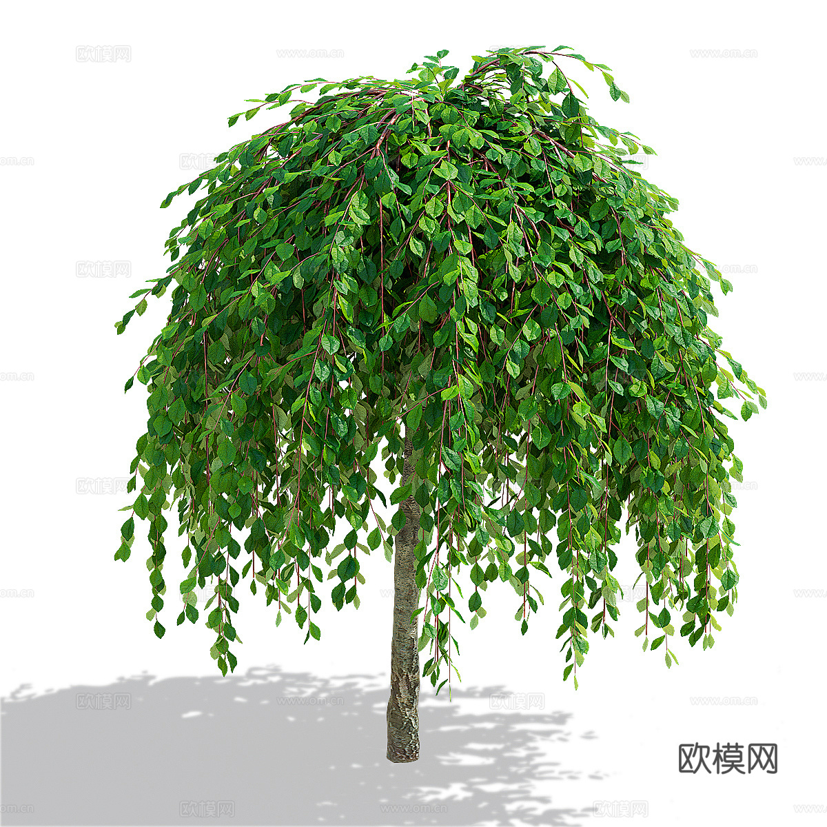 柳山羊树3d模型