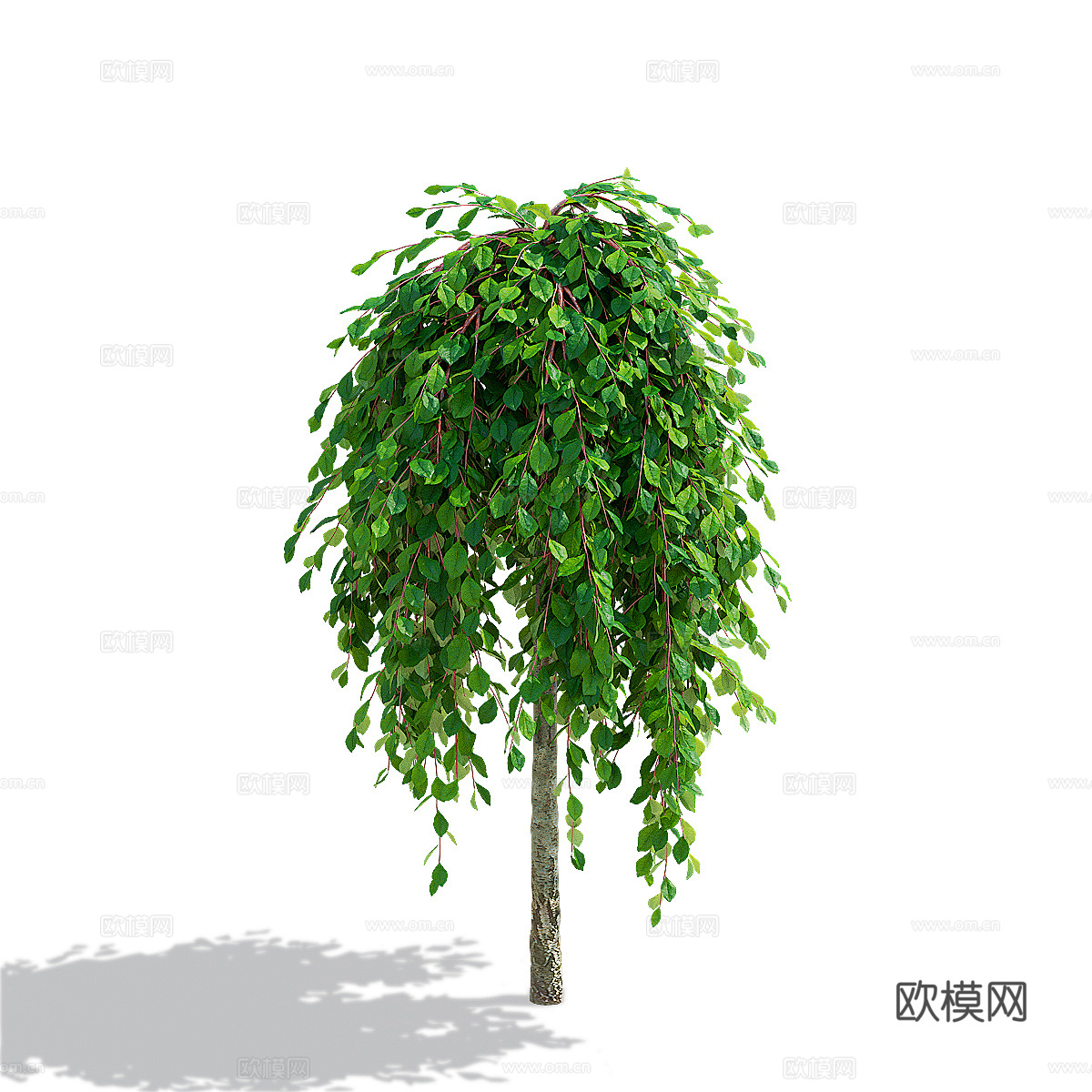 柳山羊树3d模型