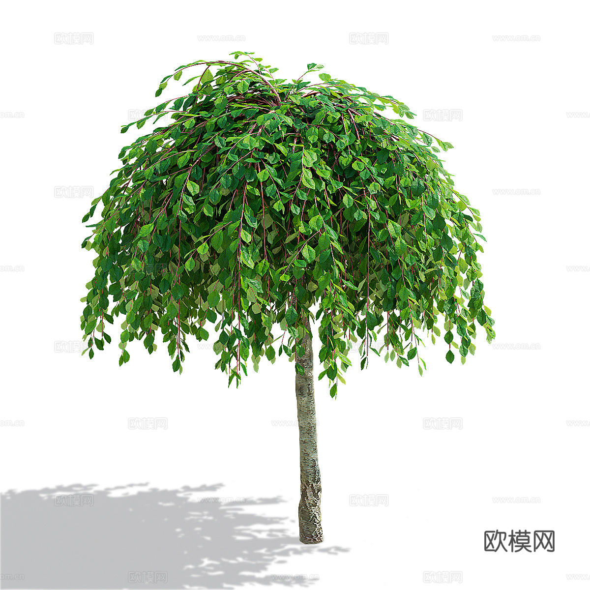 柳山羊树3d模型