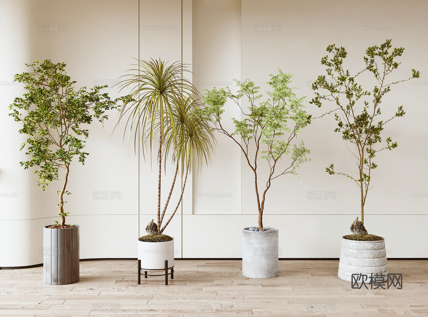 现代绿植盆栽盆景3d模型