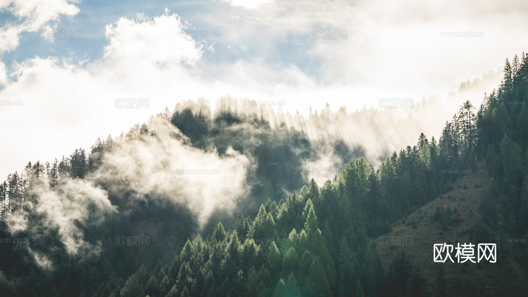 山林雾自然风景