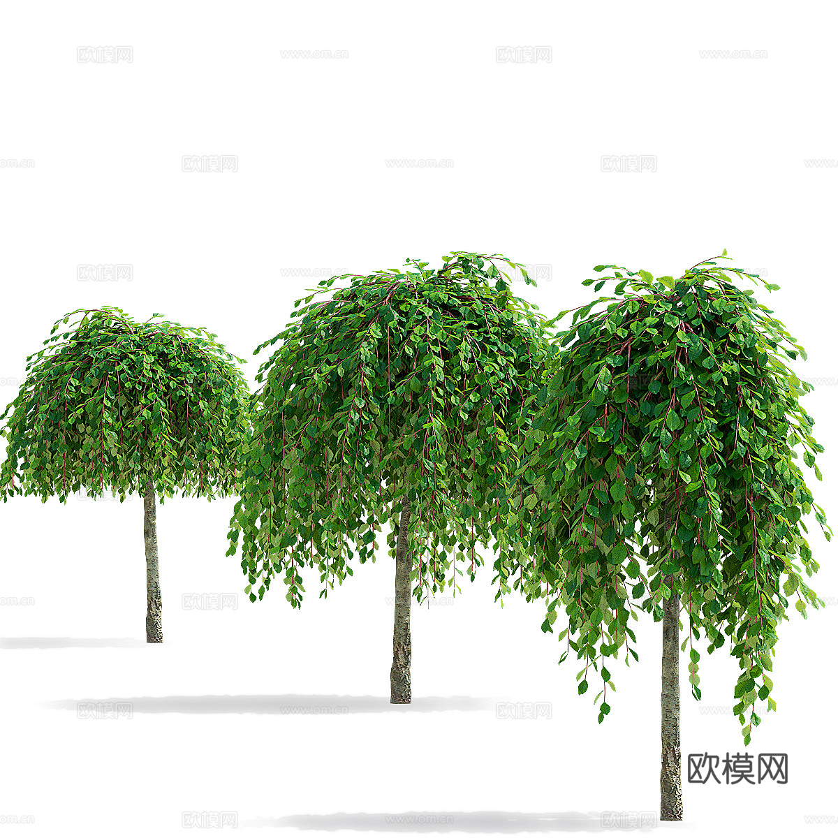 柳山羊树3d模型