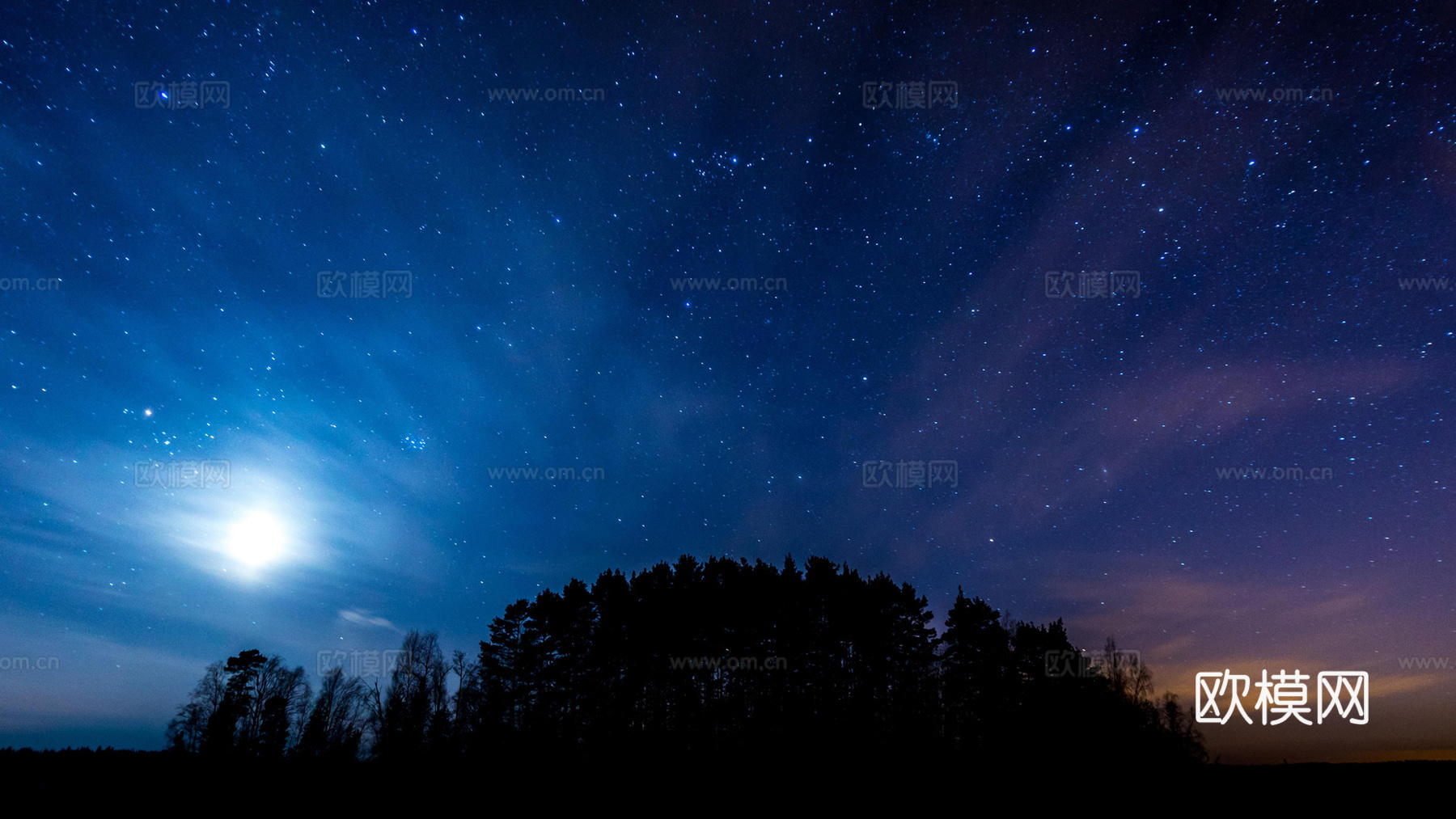 树林星空
