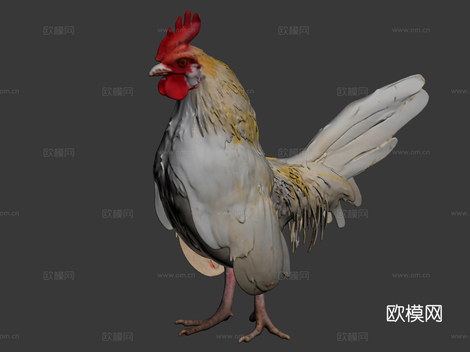 鸡，母鸡，公鸡，鸭子， 家禽，动物，鸡鸭鹅，家畜，雕塑，雕像3d模型