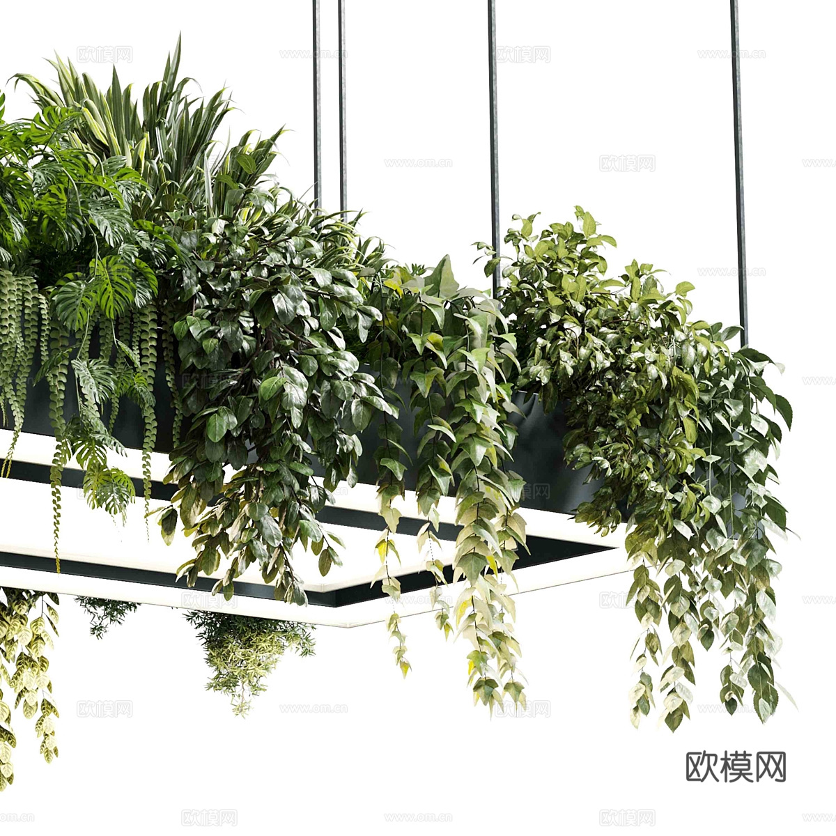 现代矩形盆灯吊灯 植物灯挂3d模型
