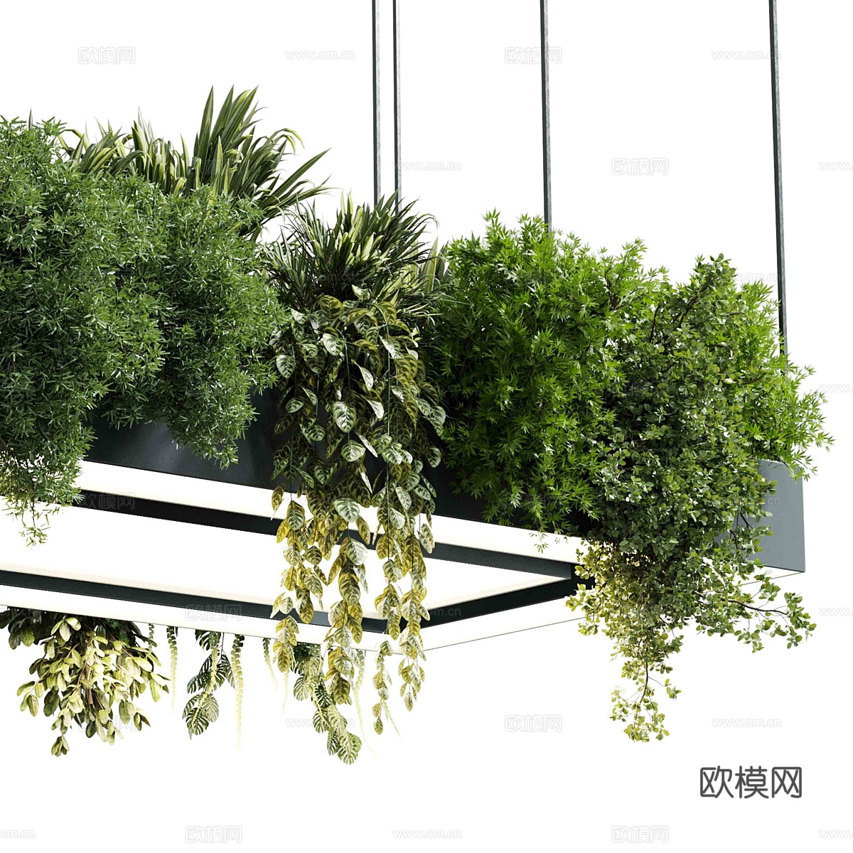 现代矩形盆灯吊灯 植物灯挂3d模型