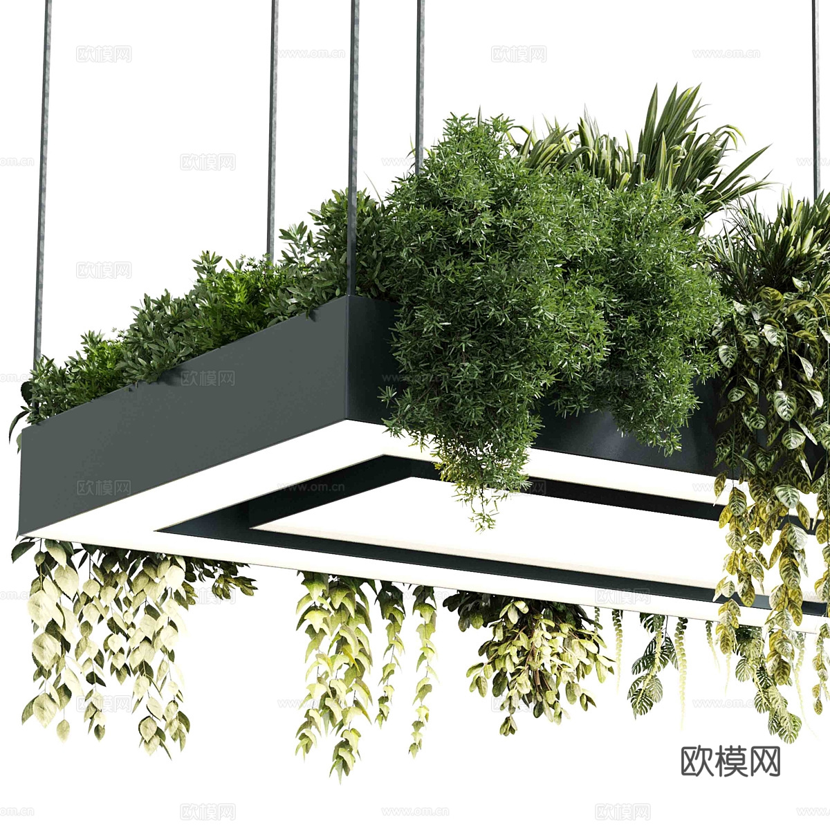 现代矩形盆灯吊灯 植物灯挂3d模型