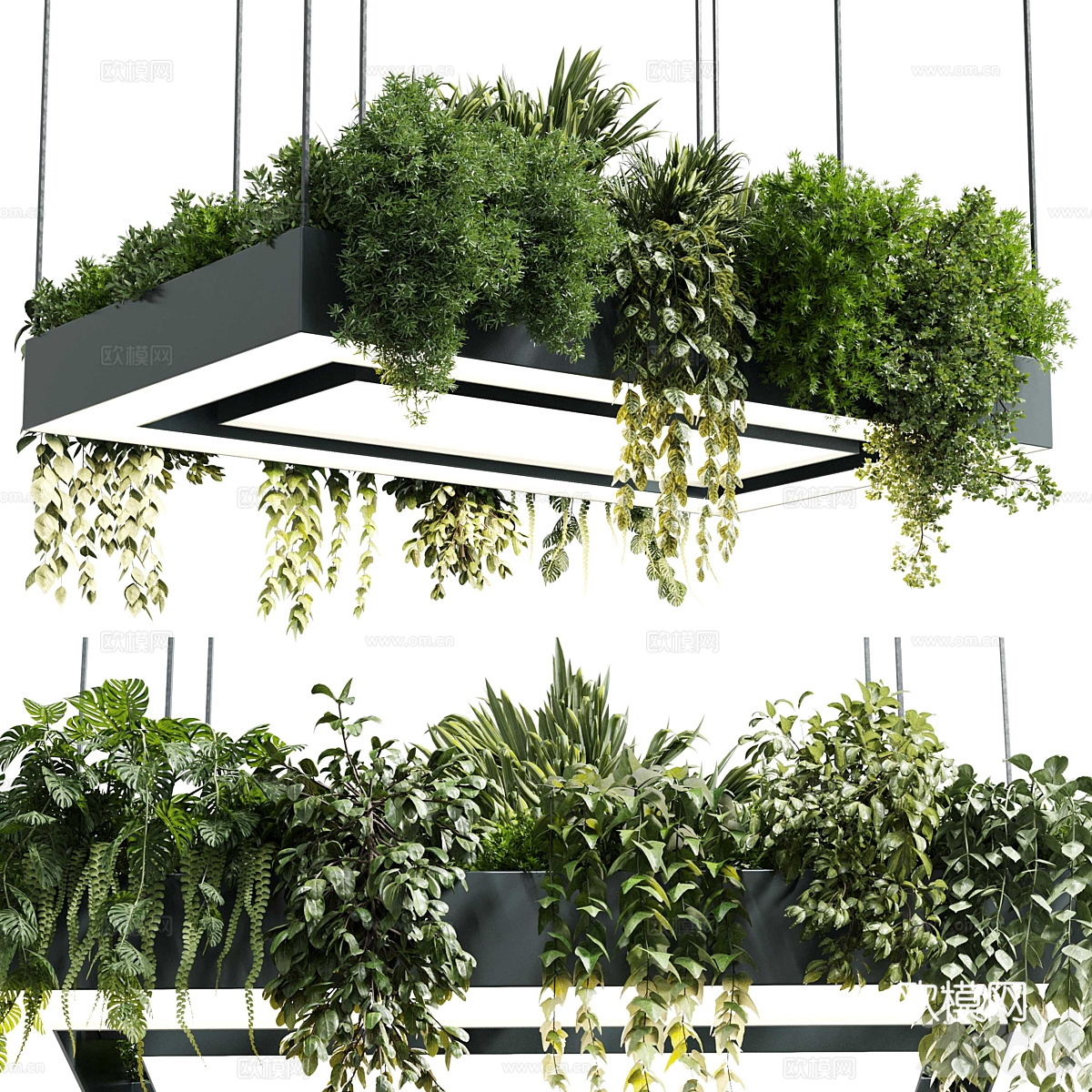 现代矩形盆灯吊灯 植物灯挂3d模型