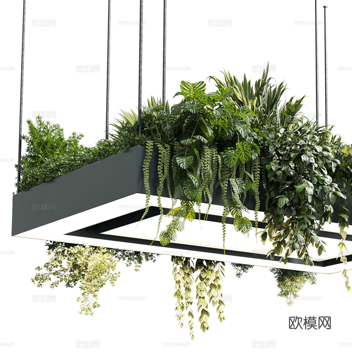 现代矩形盆灯吊灯 植物灯挂3d模型