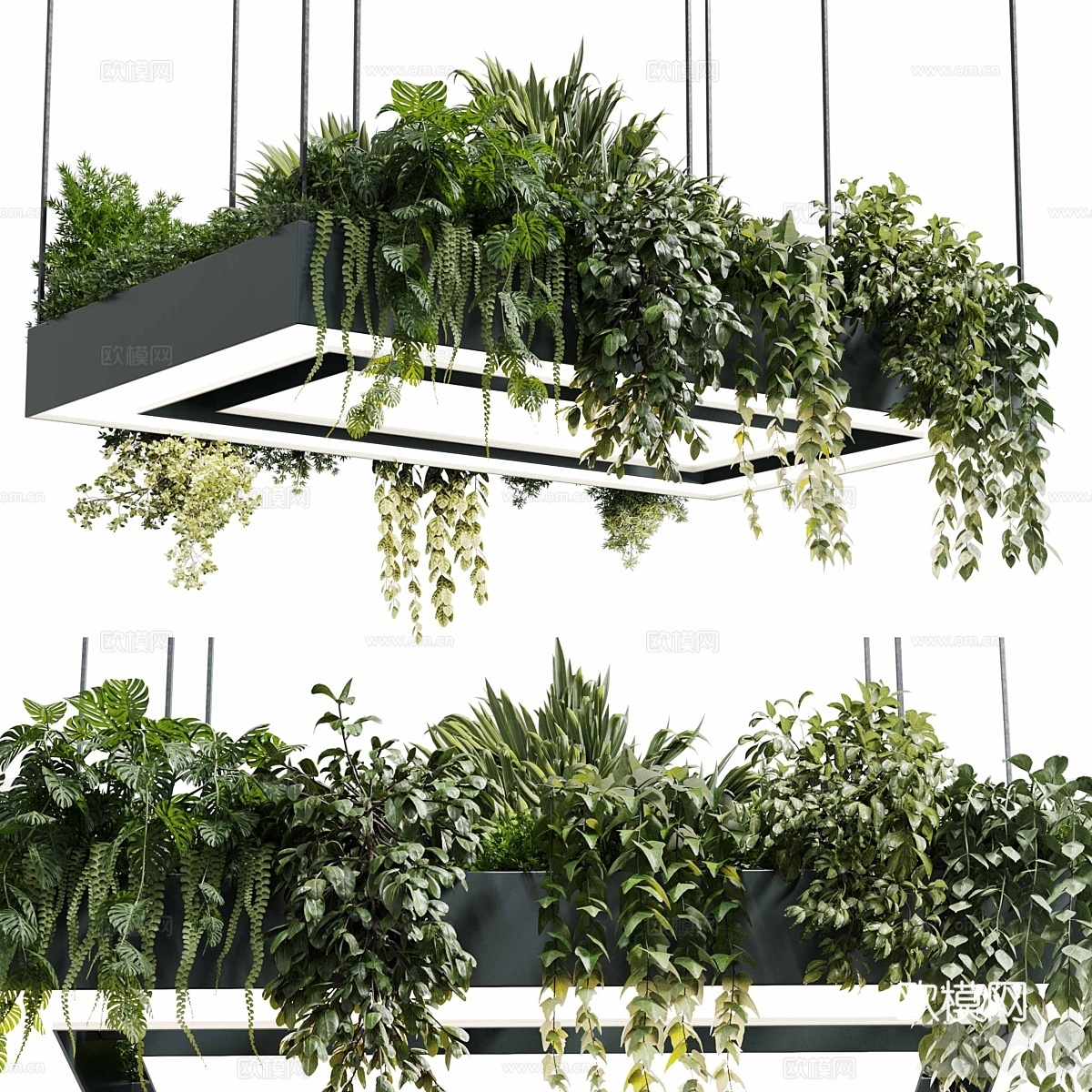 现代矩形盆灯吊灯 植物灯挂3d模型