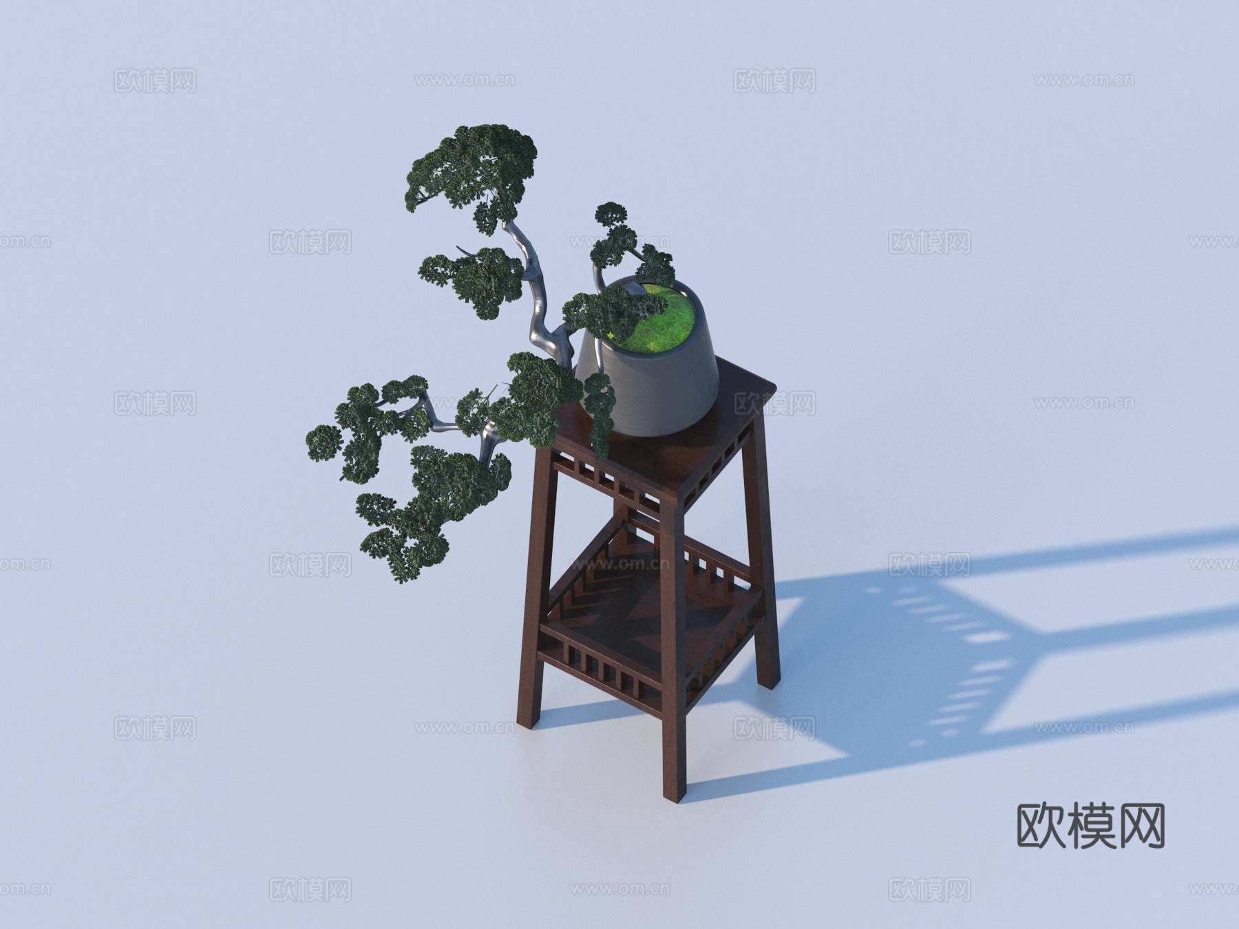 松树盆景3d模型