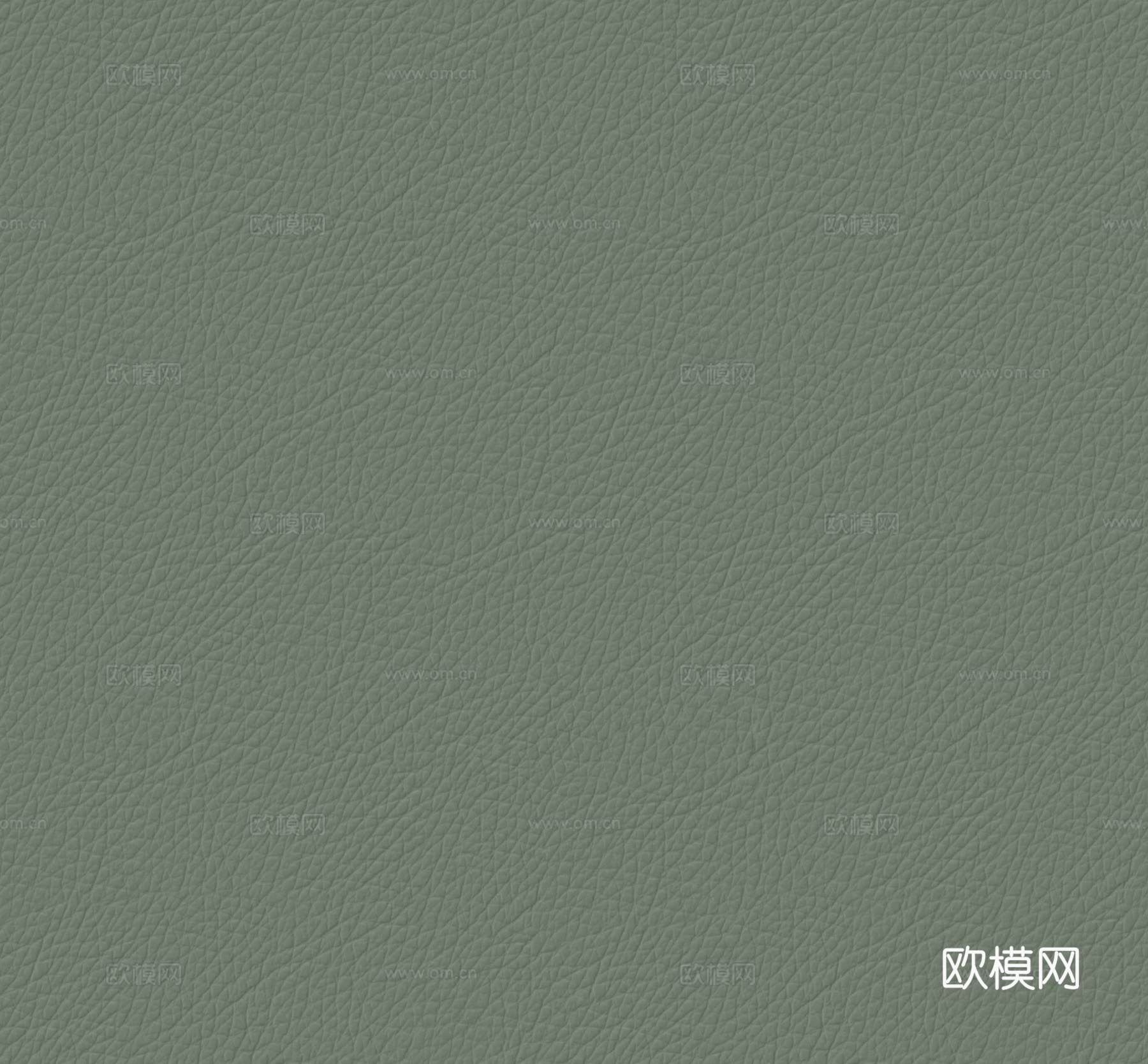 绿色粗纹皮革