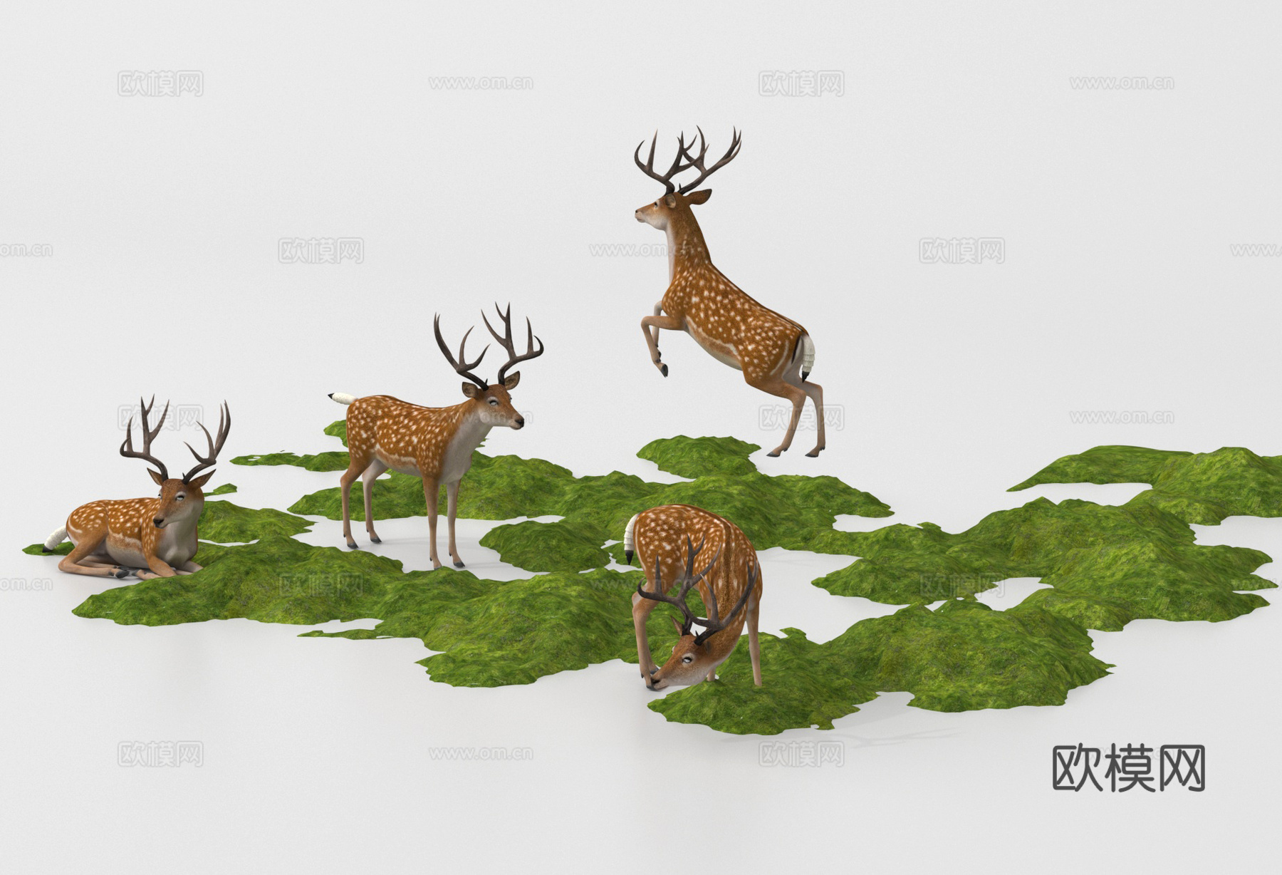 苔藓造景 植物堆 微地形 小山丘 梅花鹿su模型