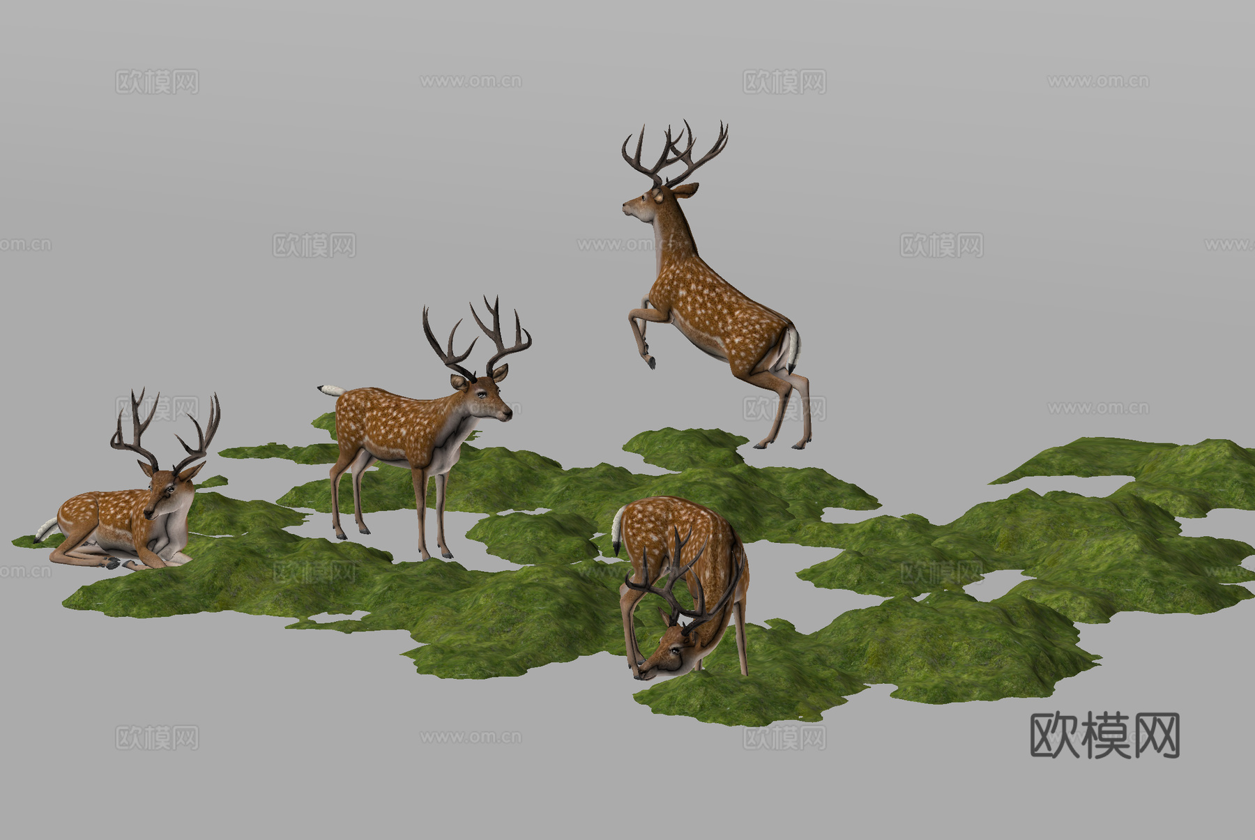 苔藓造景 植物堆 微地形 小山丘 梅花鹿su模型