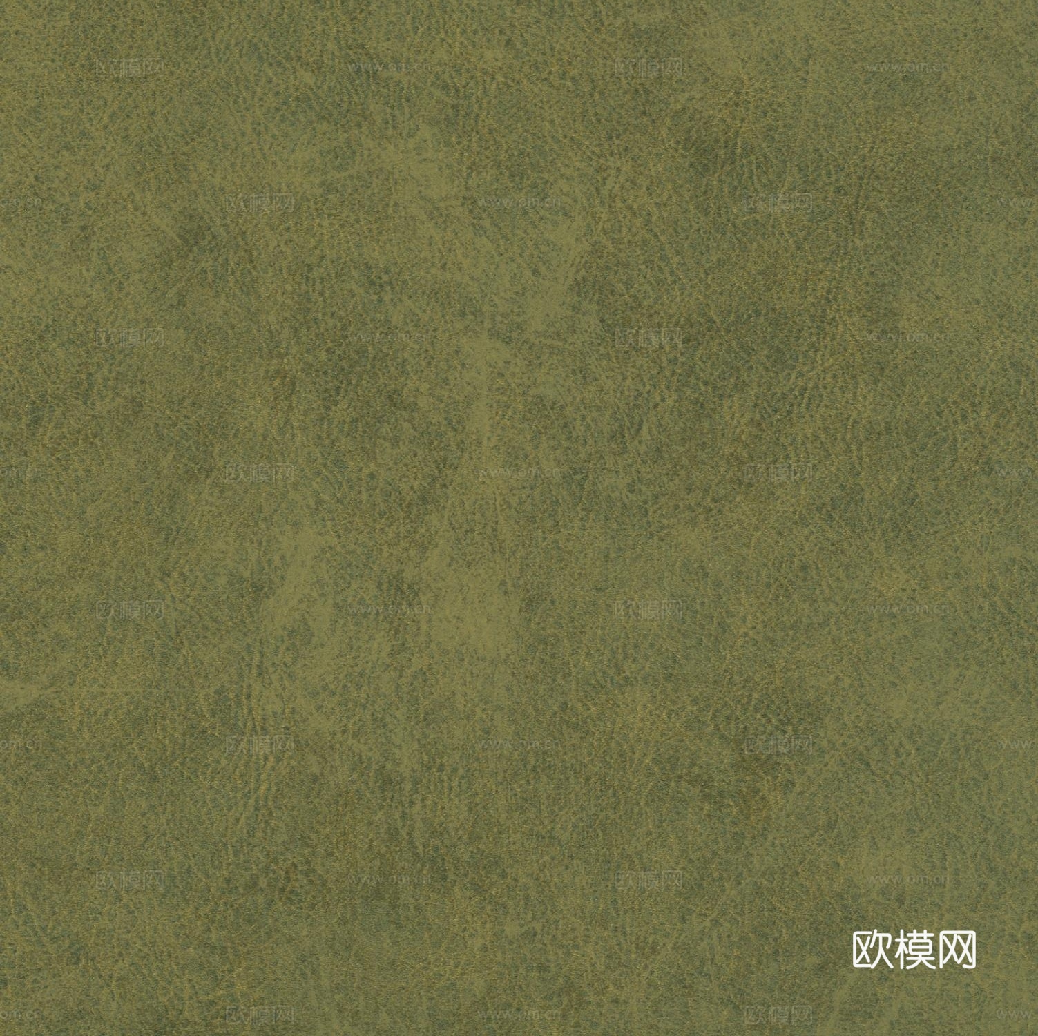 绿色皮革