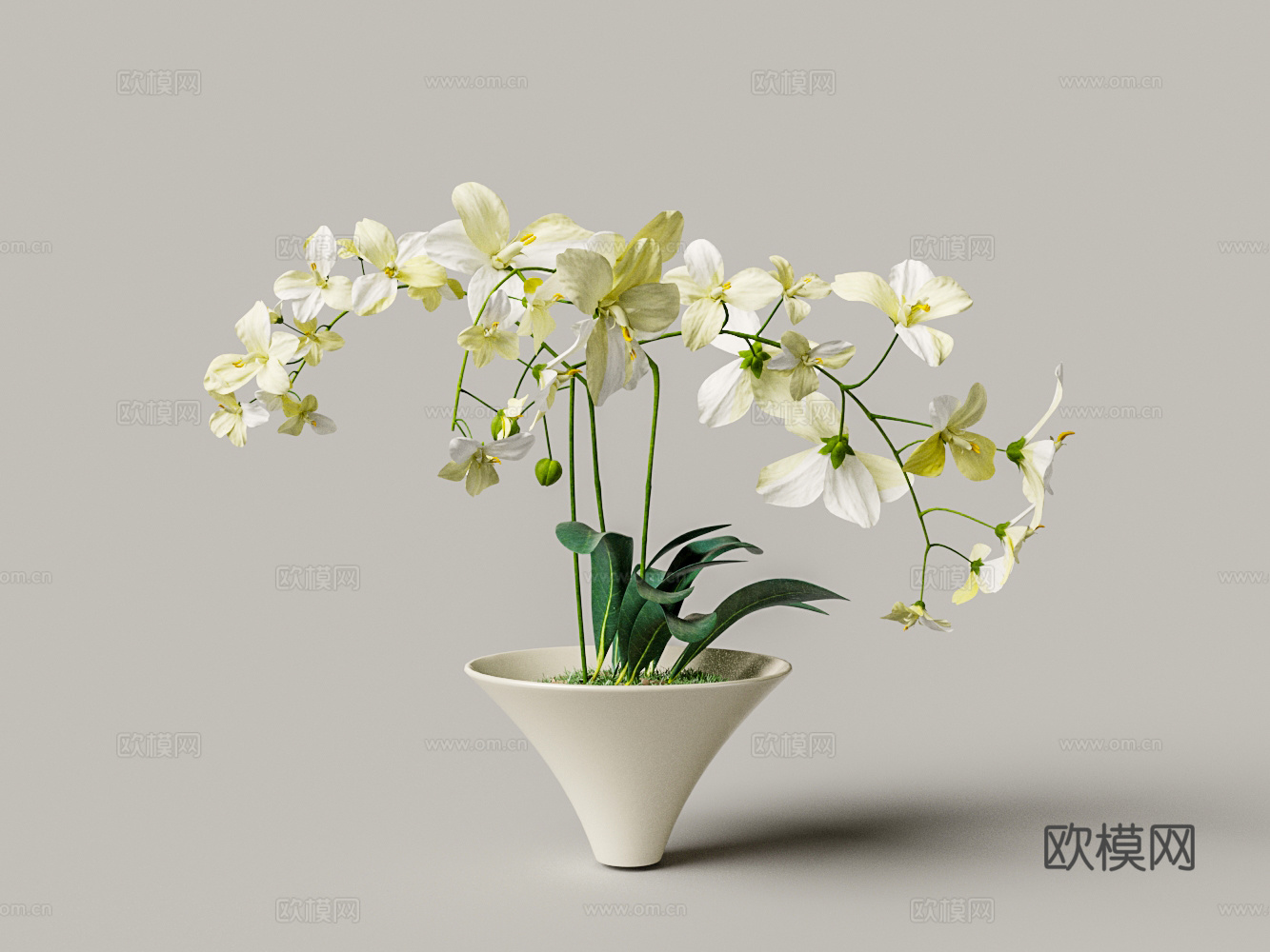 现代白色鲜花盆景3d模型