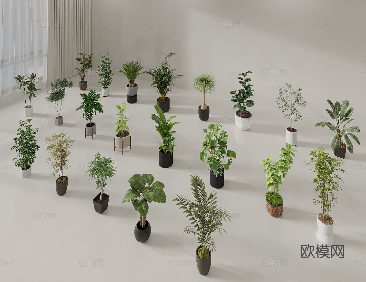 盆栽 绿植盆栽 植物盆景 植物组合 绿植摆件3d模型