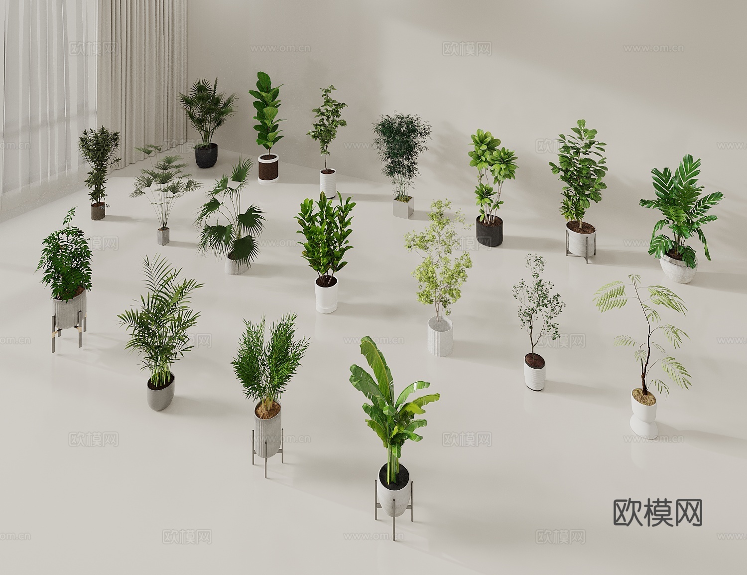 盆栽 绿植盆栽 植物盆景 植物组合 绿植摆件3d模型