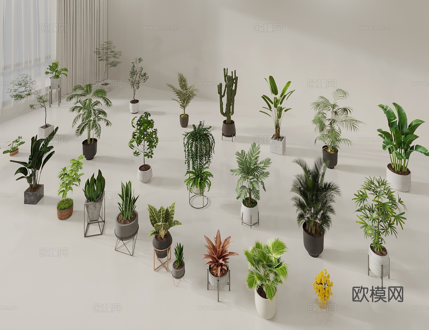 盆栽 绿植盆栽 植物盆景 植物组合 绿植摆件3d模型