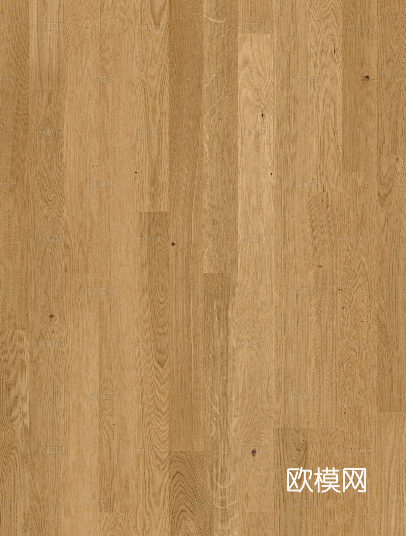 现代意式 轻奢 胡桃木 橡木 原木 地板 直纹木纹/木纹砖下载