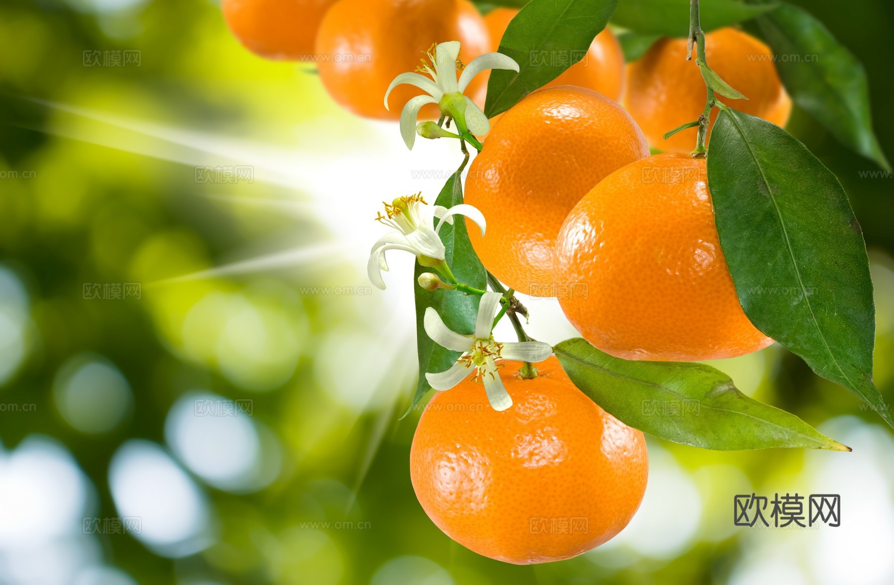 高清现代装饰画挂画下载