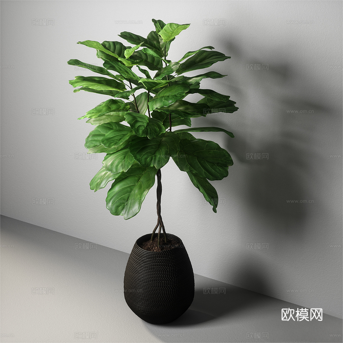 现代绿植 植物盆栽 室内绿植 榕树 榕树盆栽 绿色植物 植物3d模型