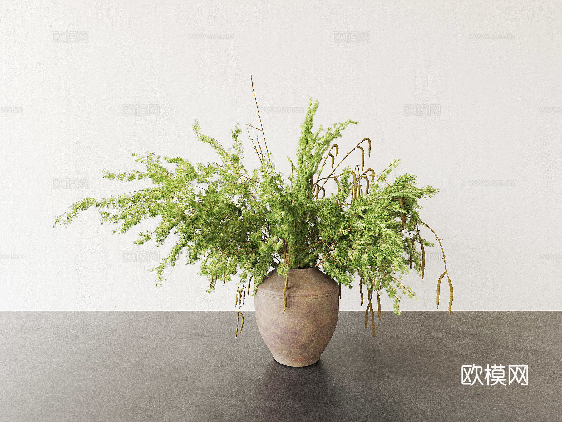 盆栽 盆景 花盆 绿植3d模型