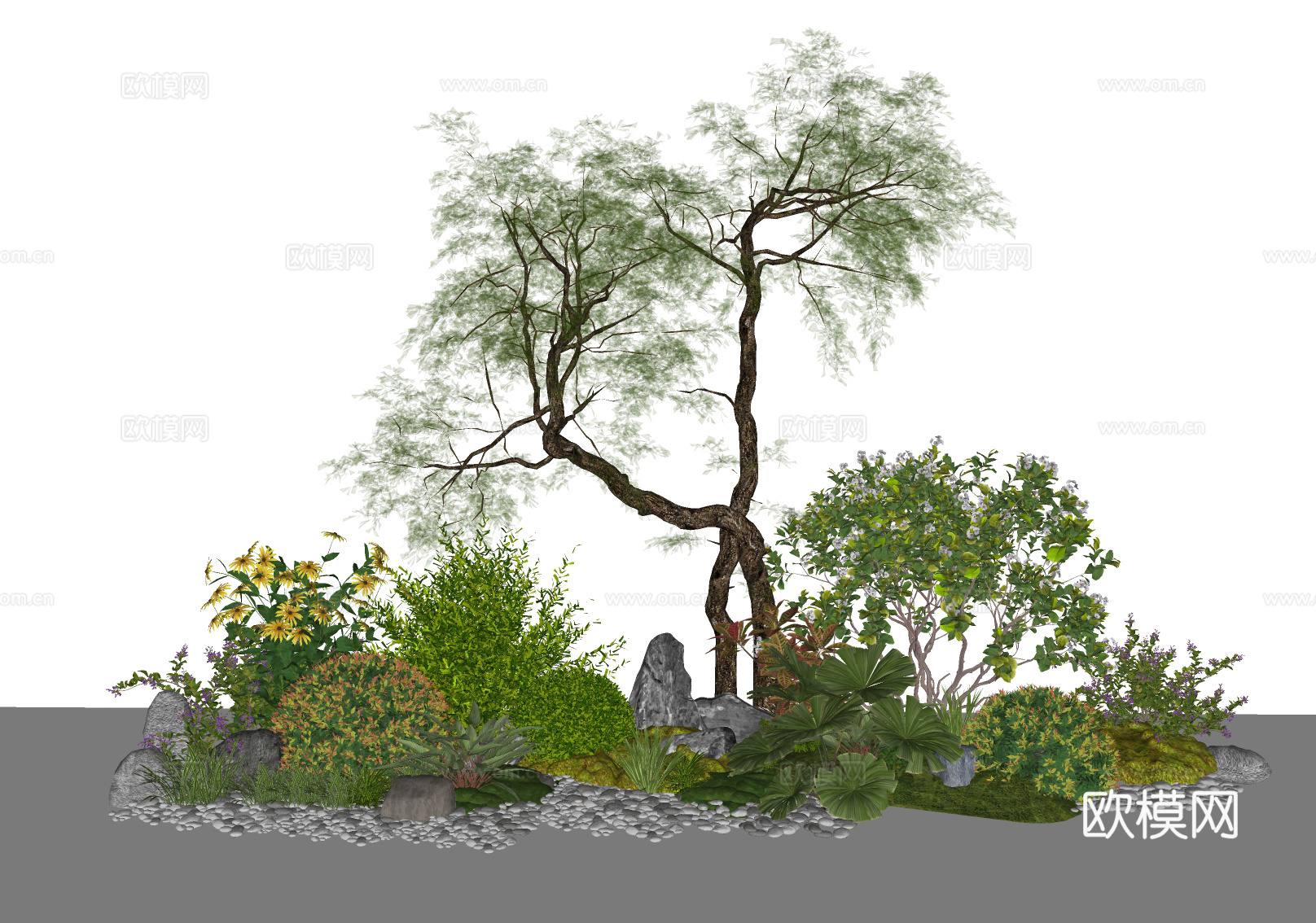 庭院植物组合 灌木绿植  造型树su模型