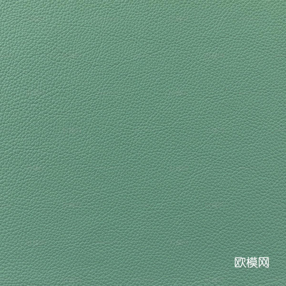 草绿色细纹皮革贴图