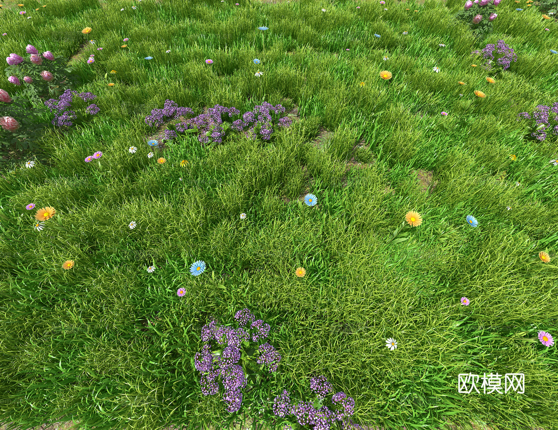 花草3d模型