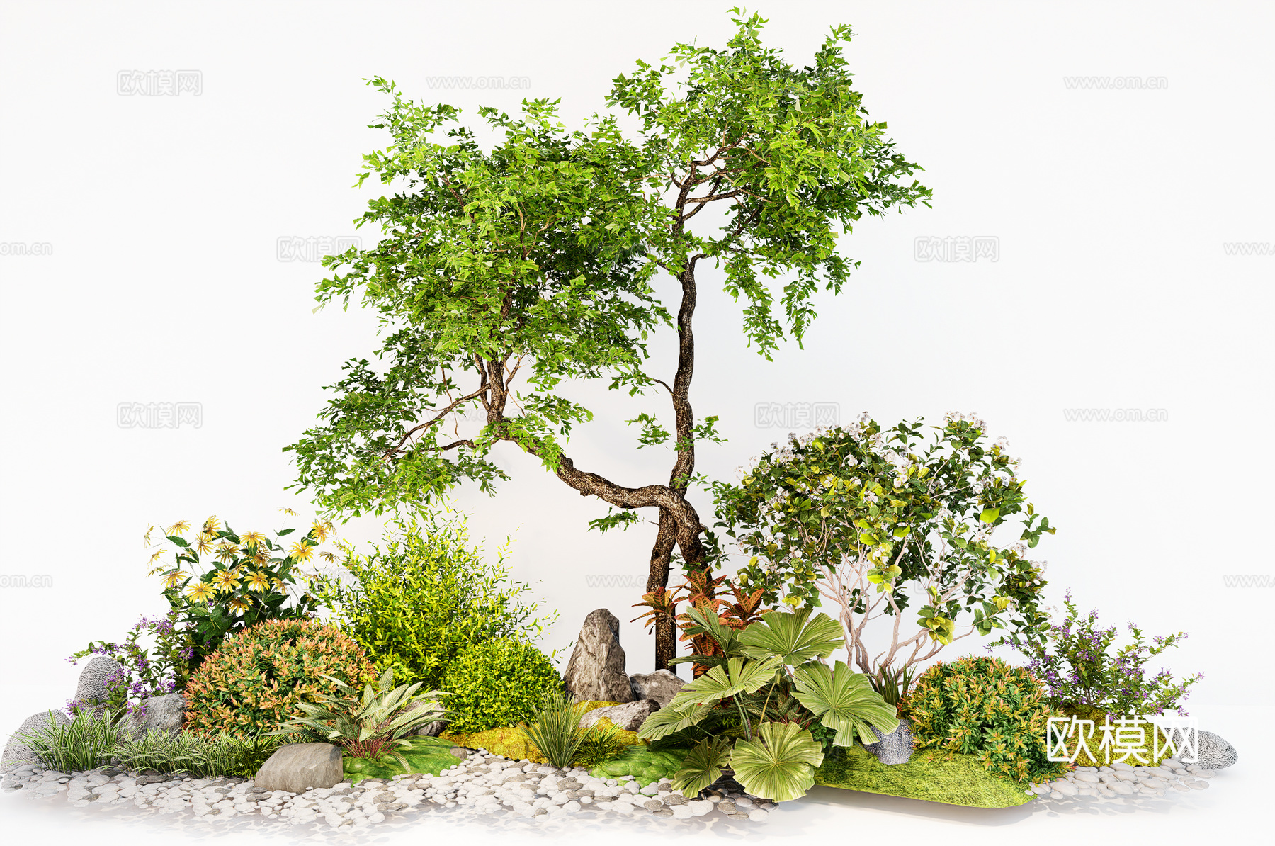 庭院植物组合 灌木绿植  造型树su模型