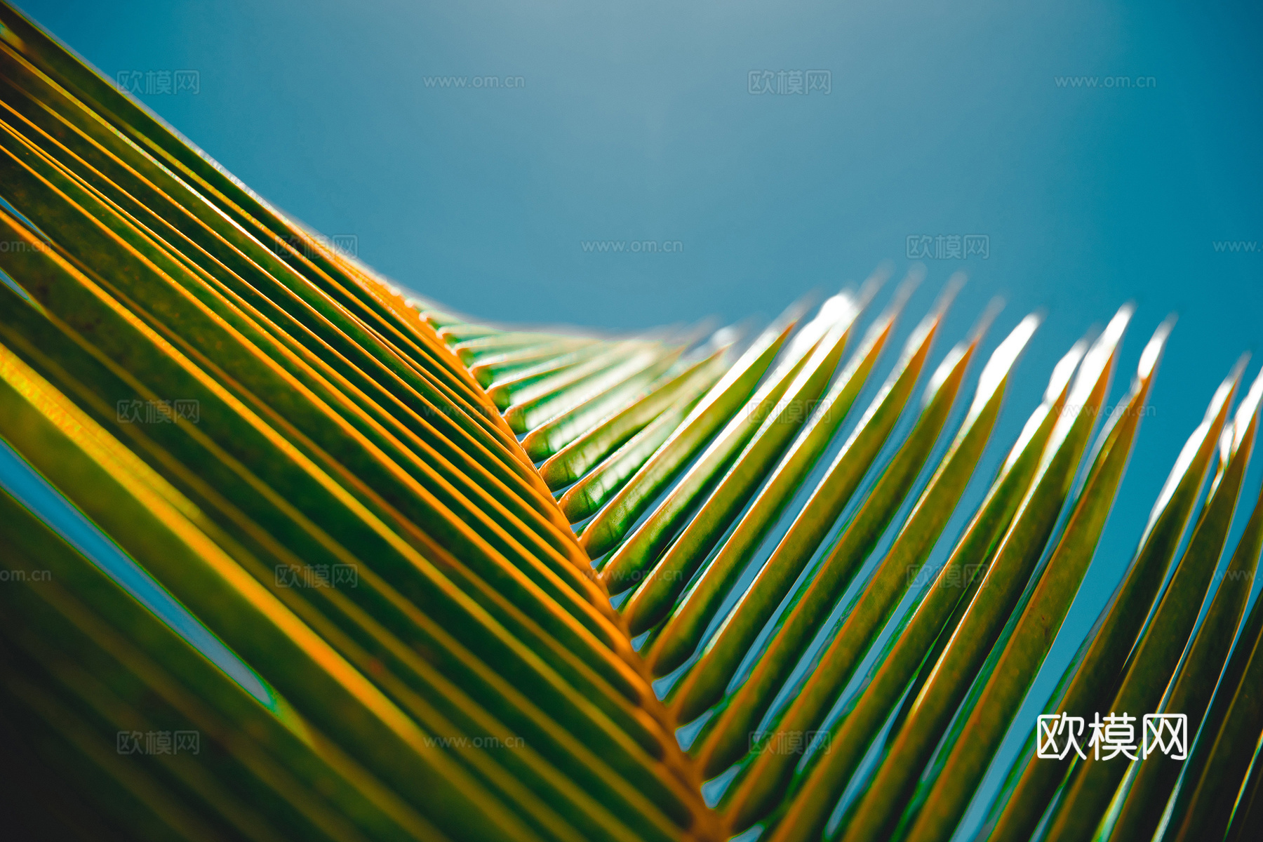 现代简约装饰画挂画摄影作品高清下载