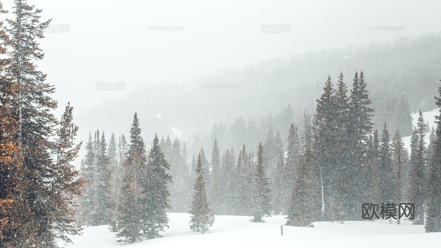 高清_外景_雪景贴图