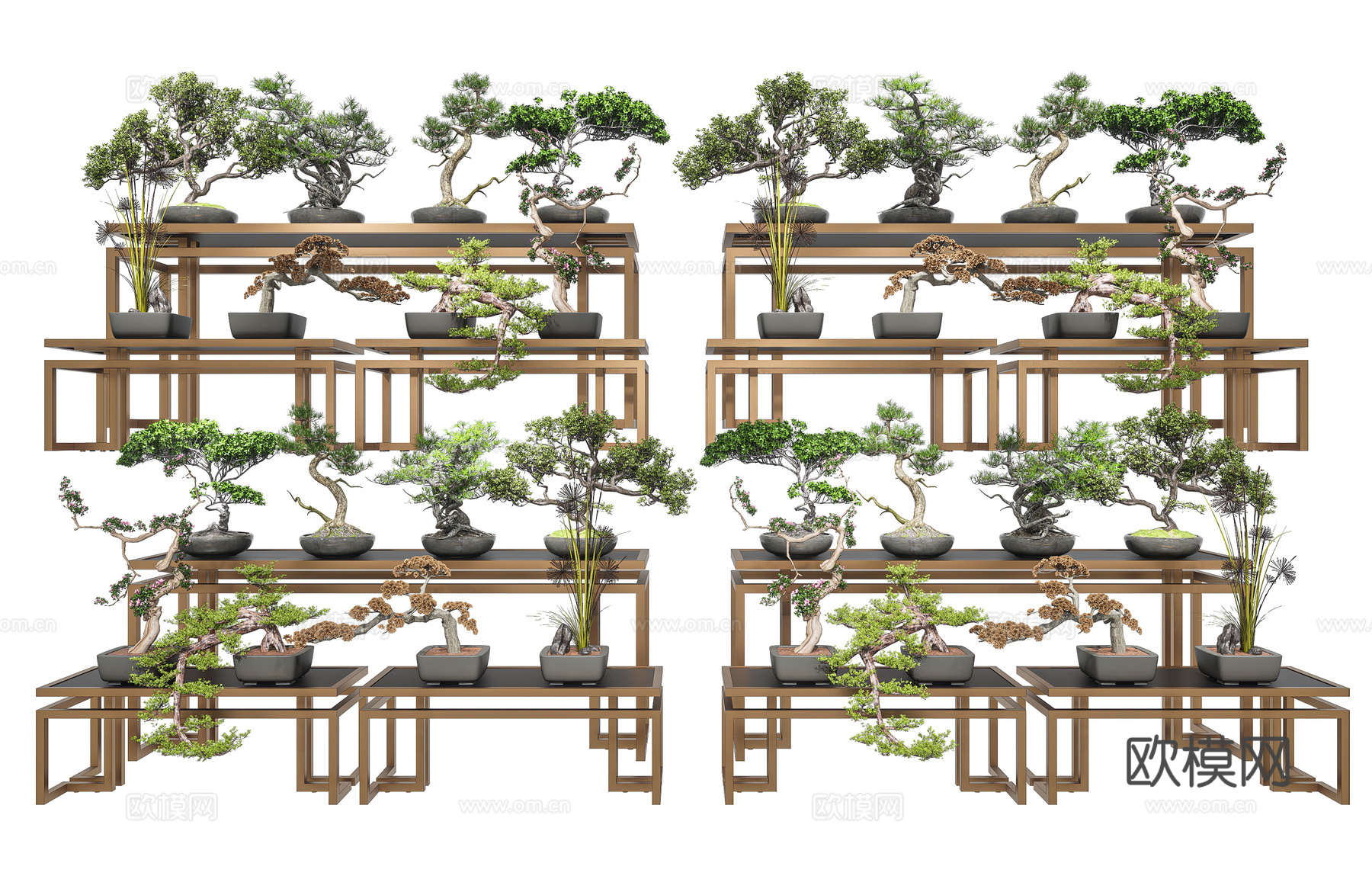 新中式盆景松树 盆栽罗汉松组合 盆景罗汉松 盆栽绿植盆景 室3d模型