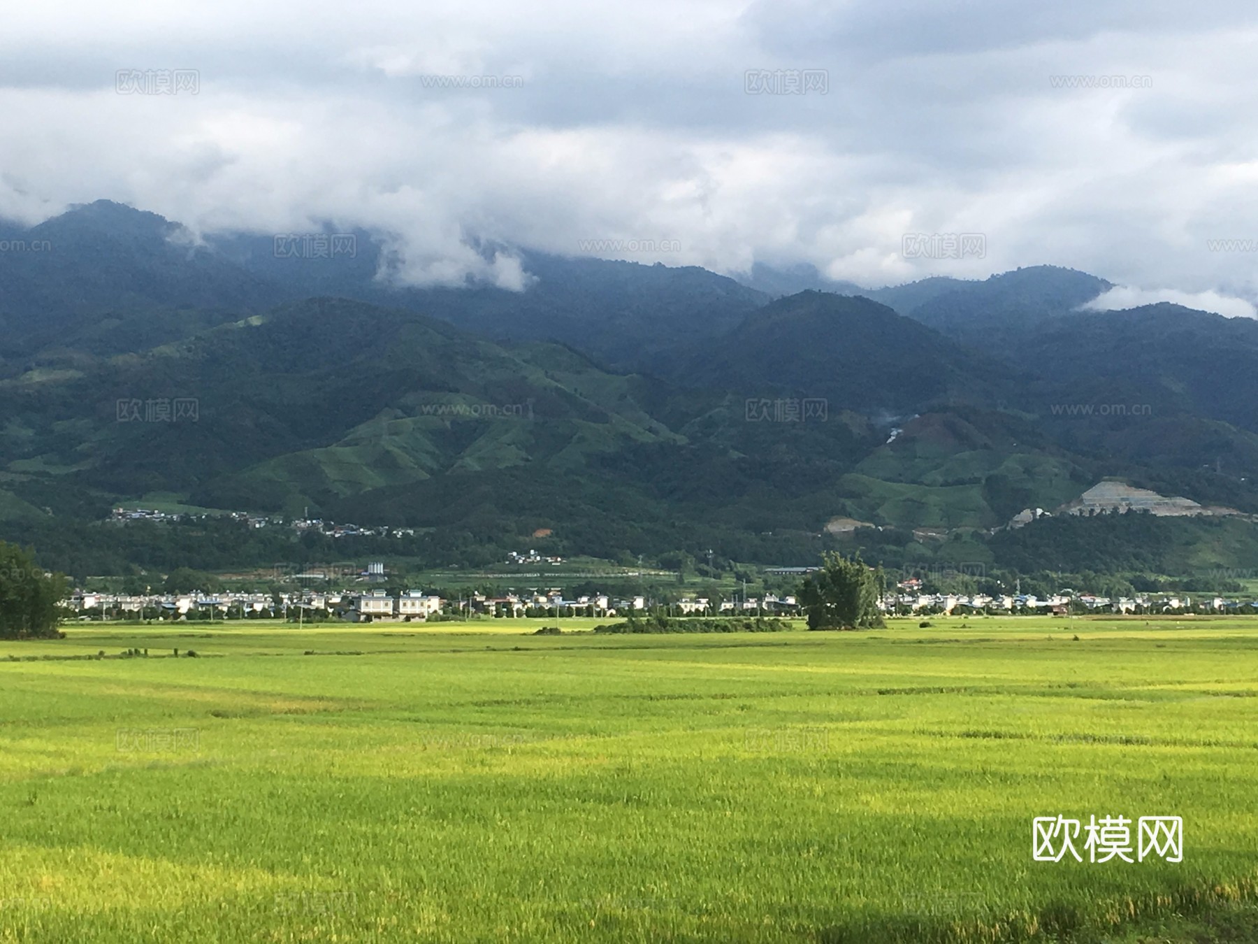 田野户外风景_乡村田园贴图